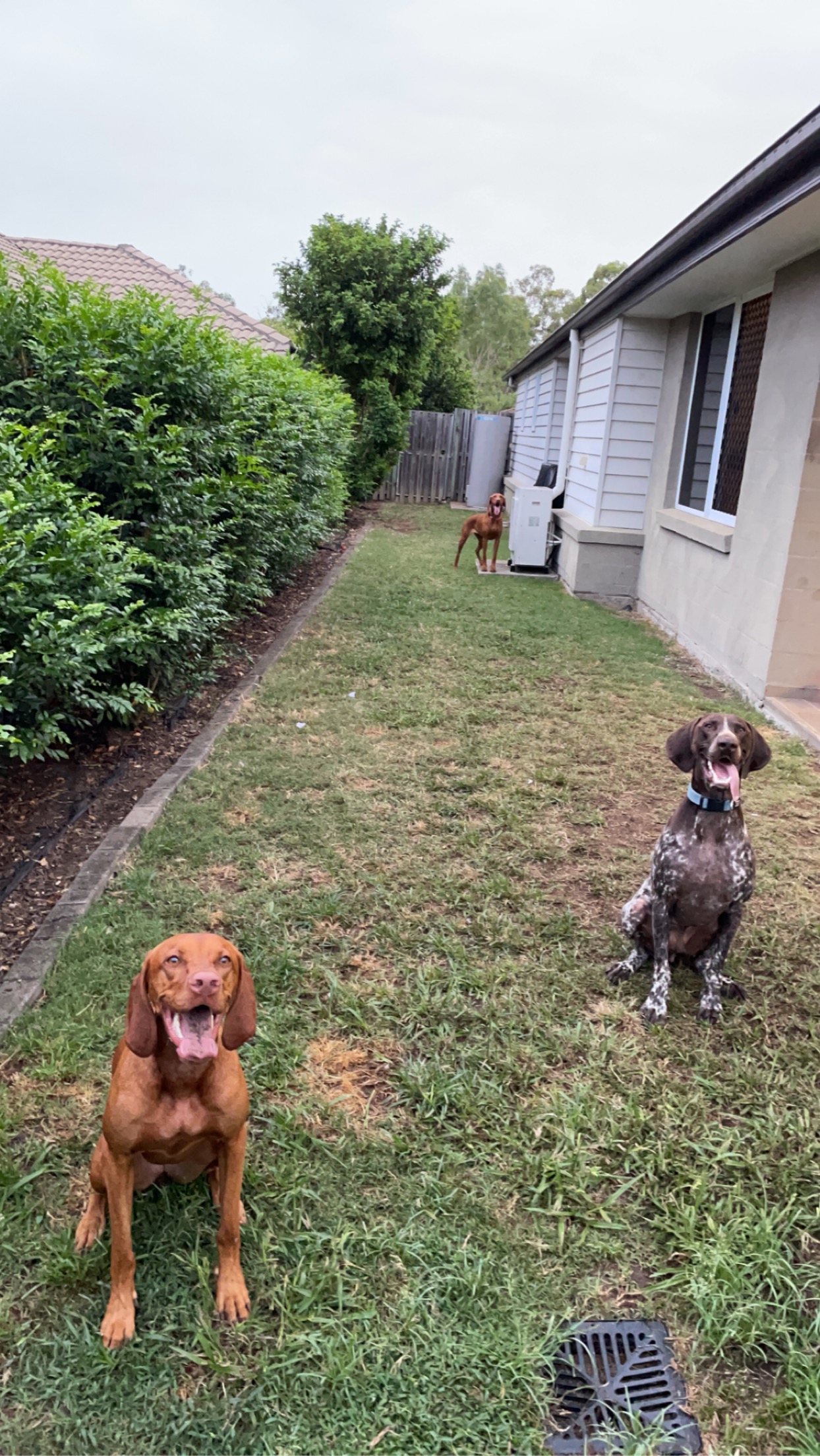 image-9