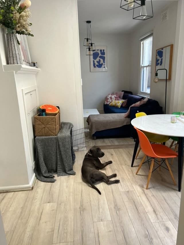 image-17