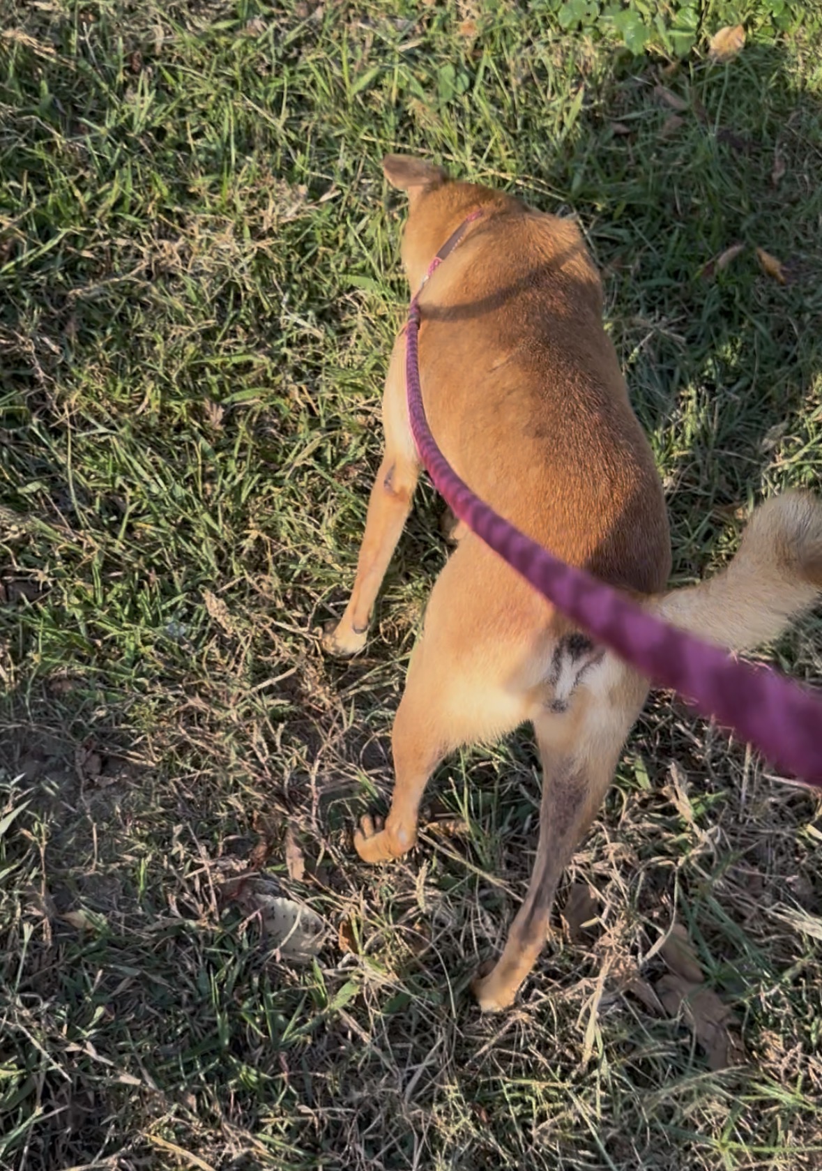 image-9