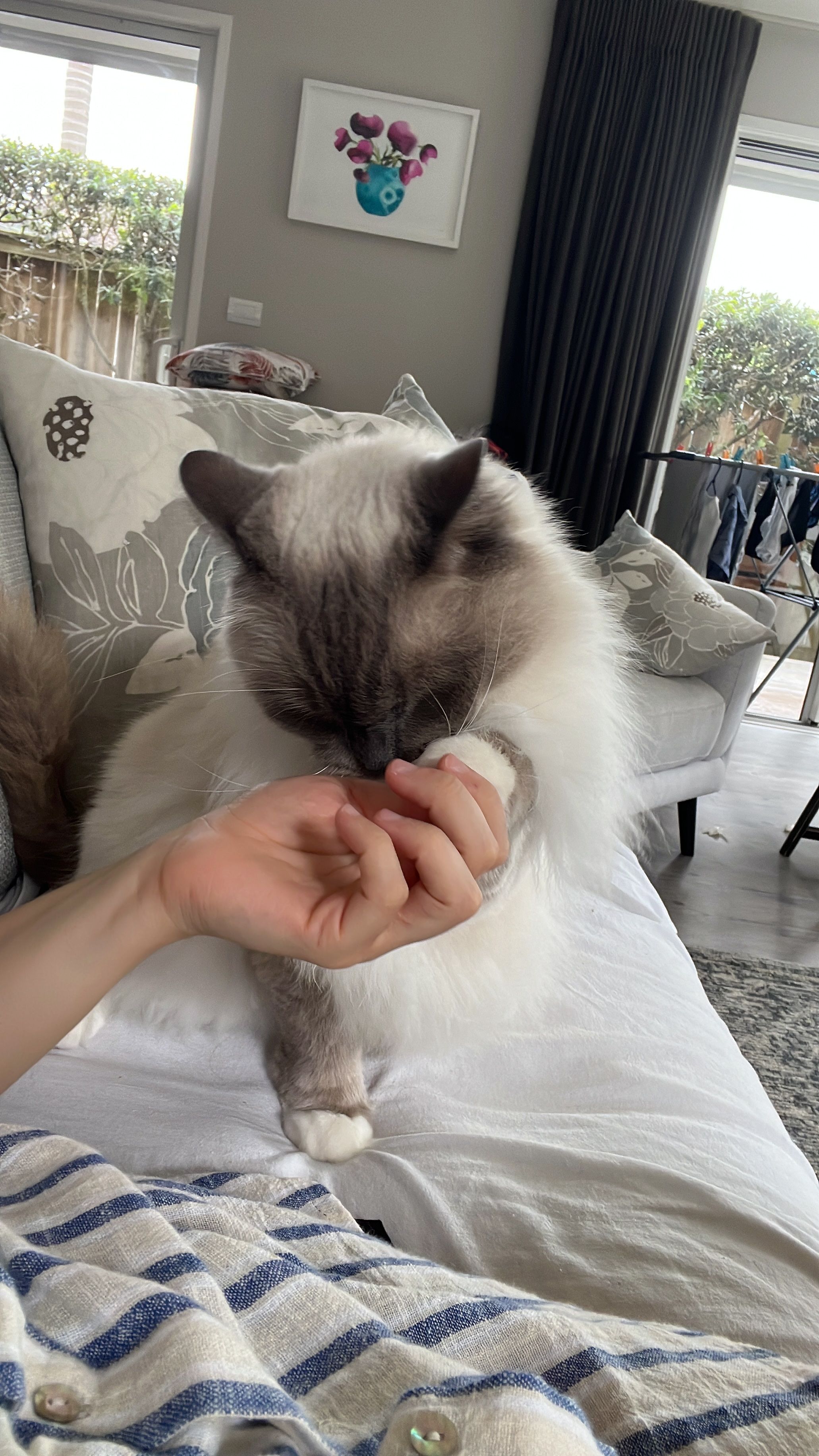 image-6