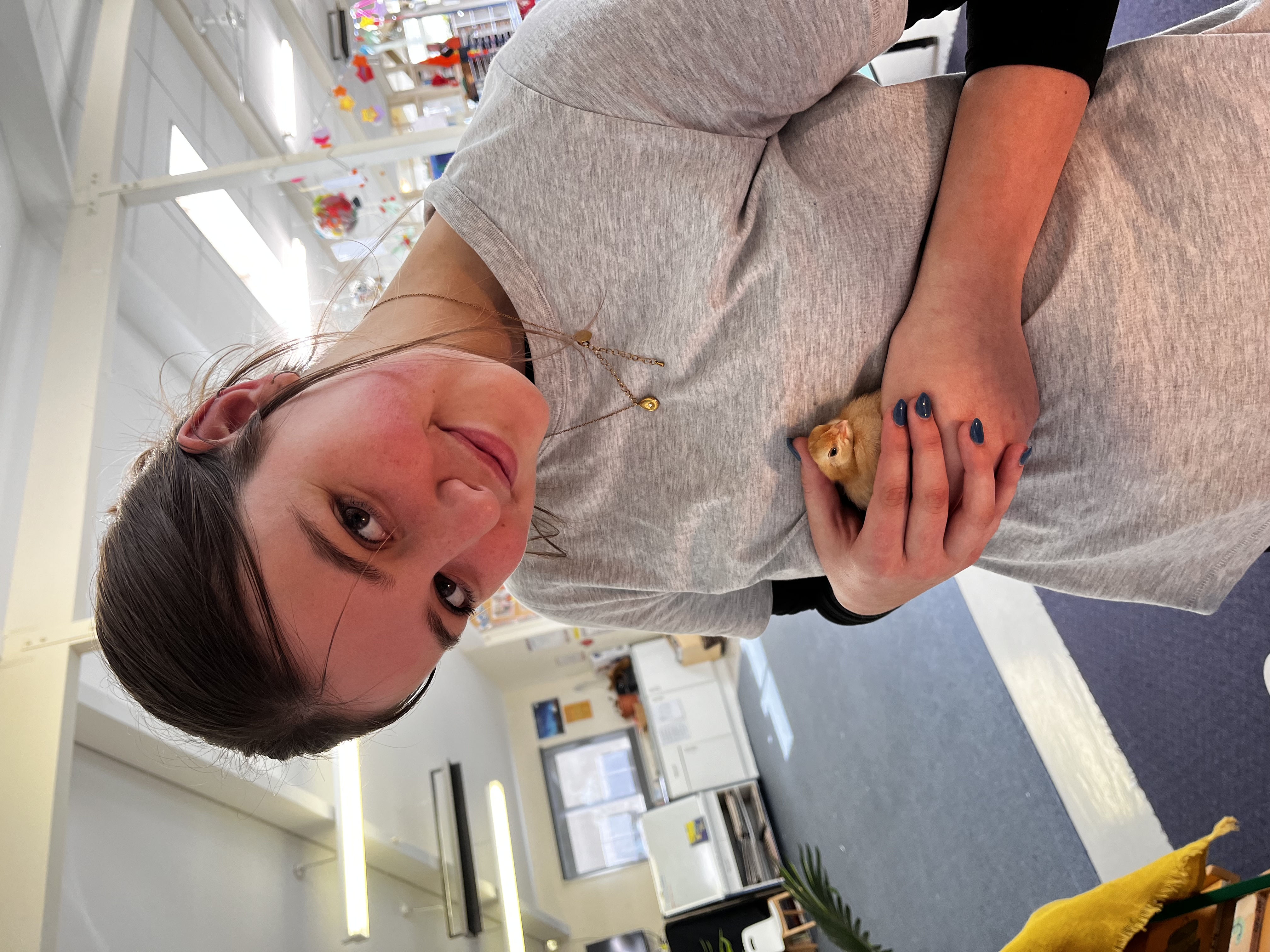 image-6