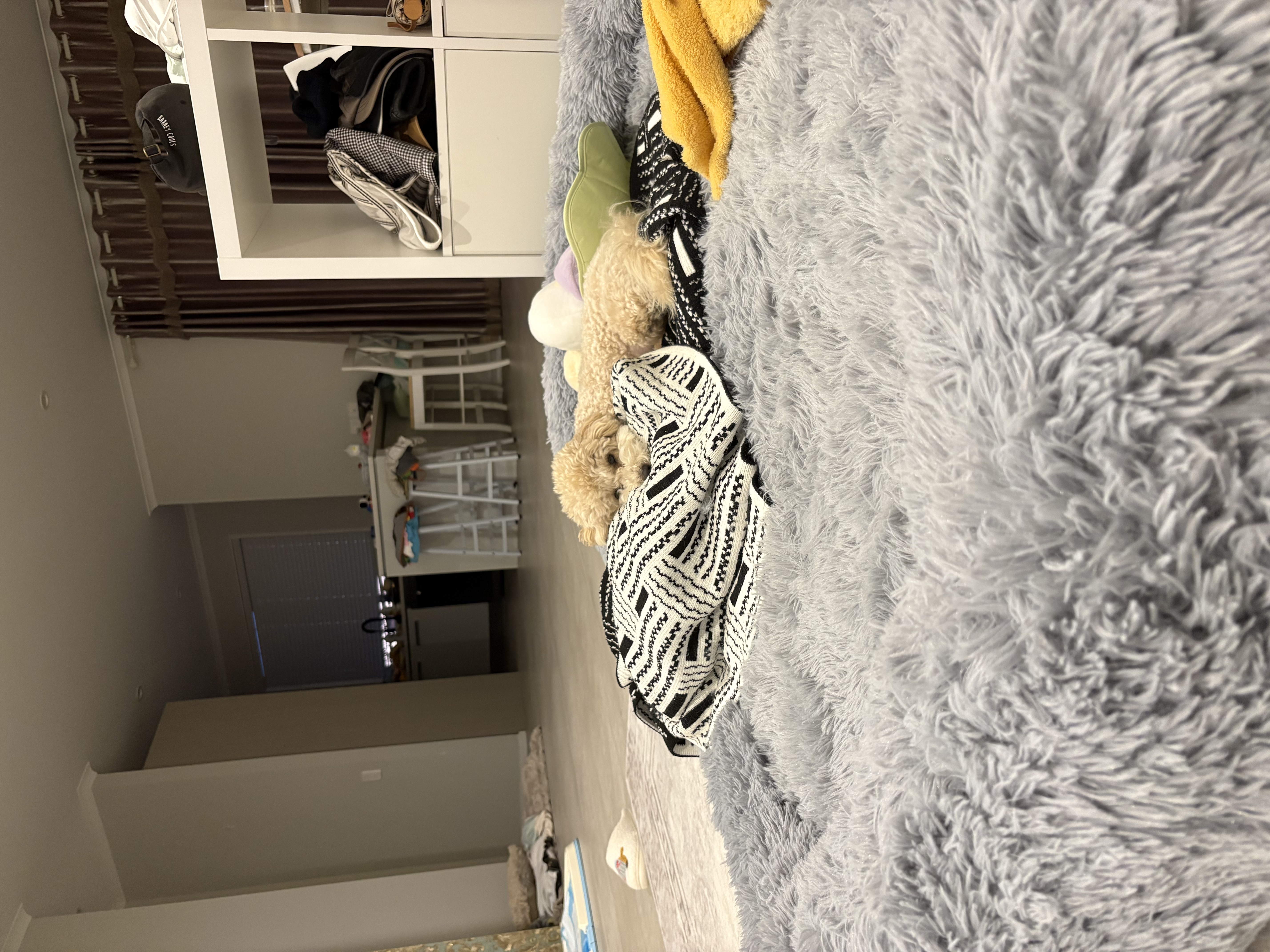 image-10