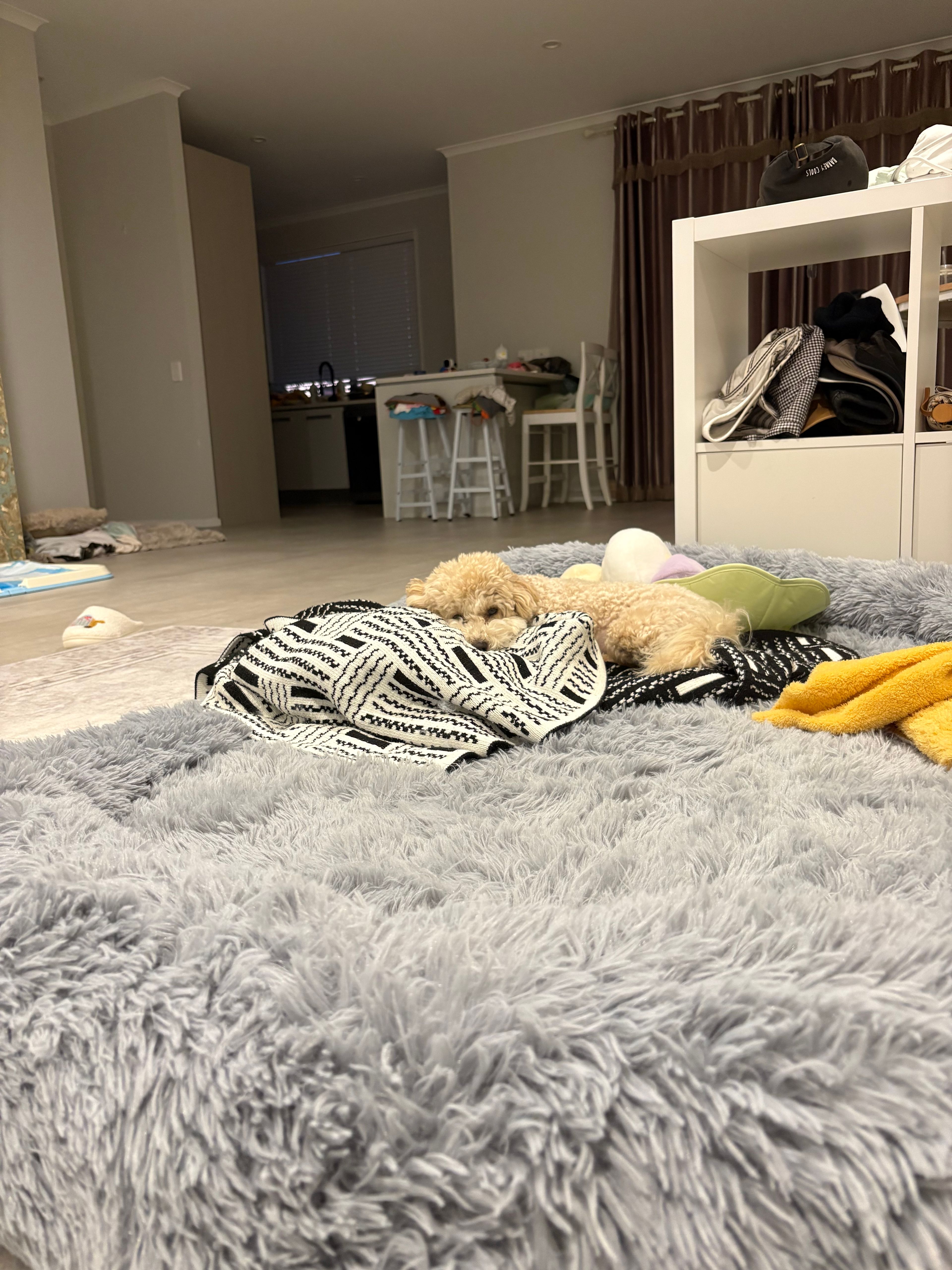 image-10