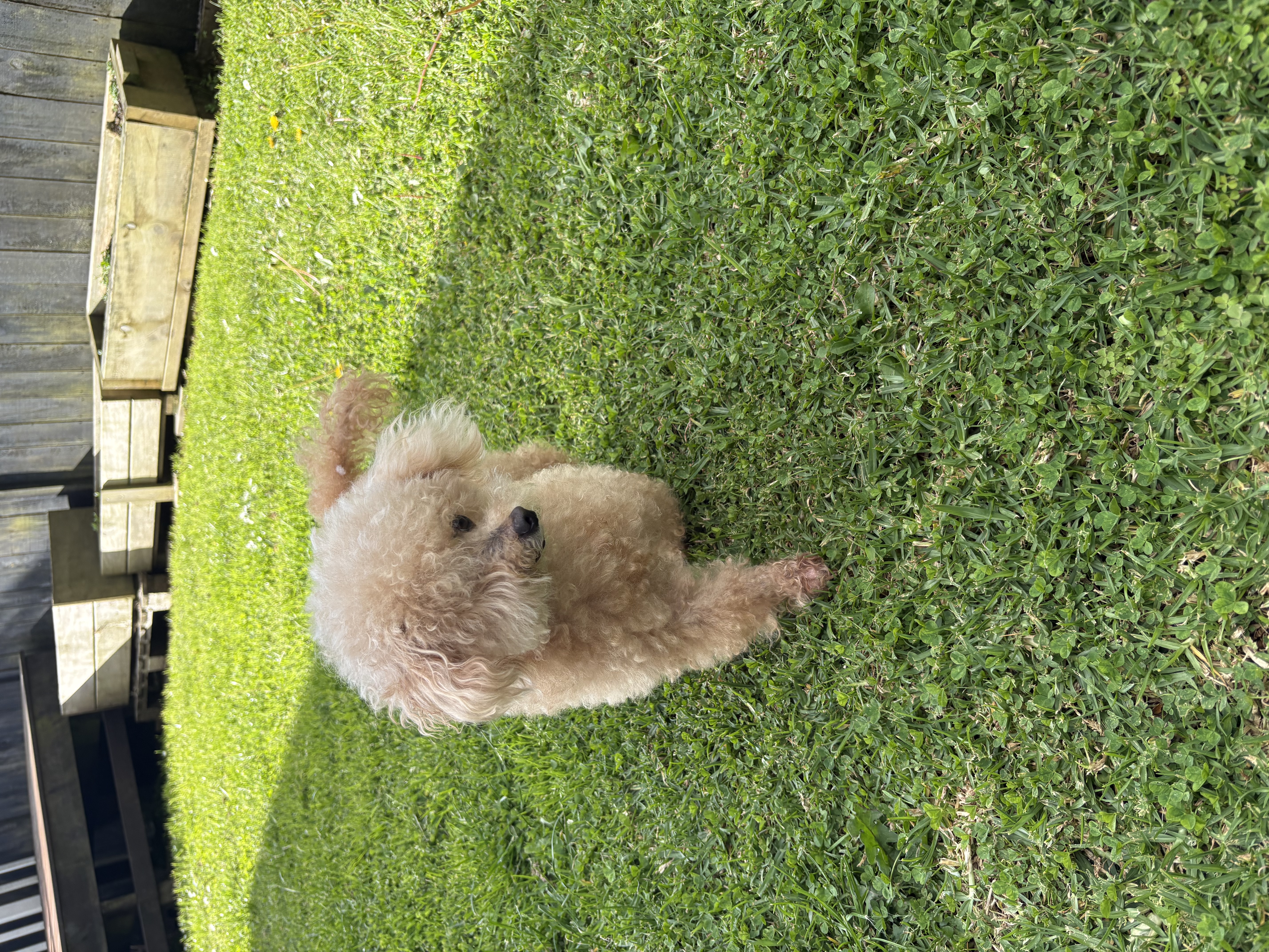image-8