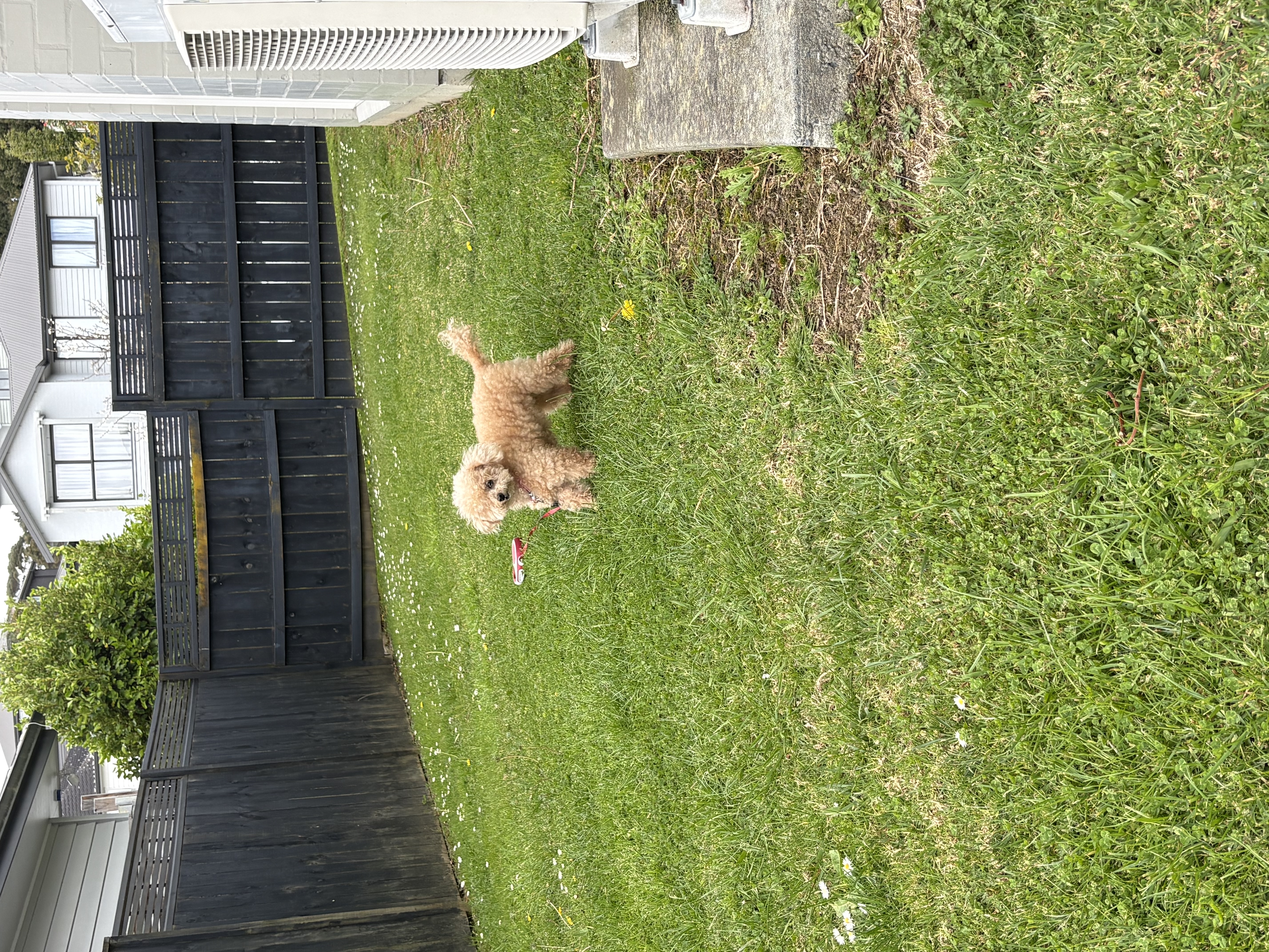 image-7