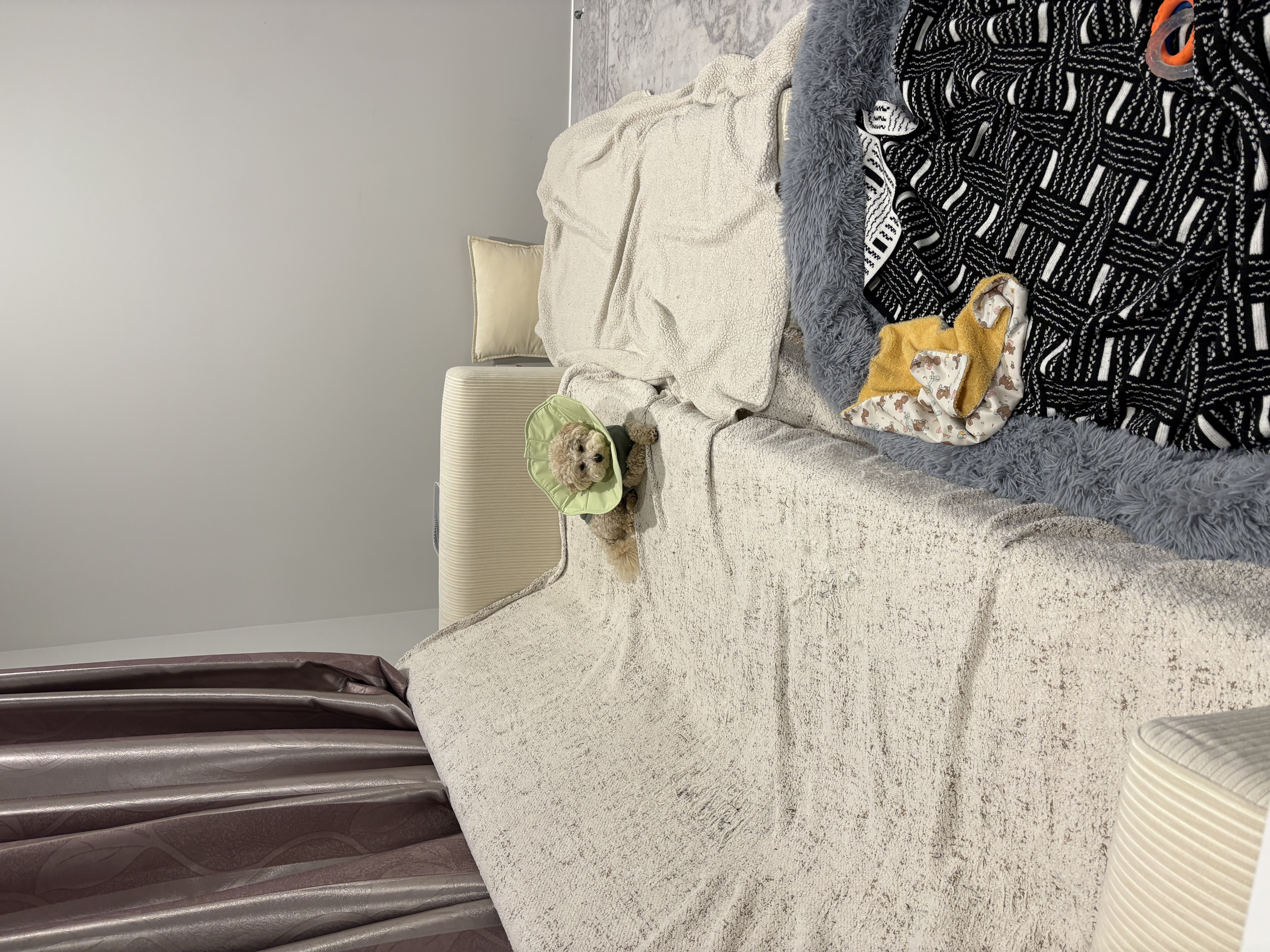 image-9