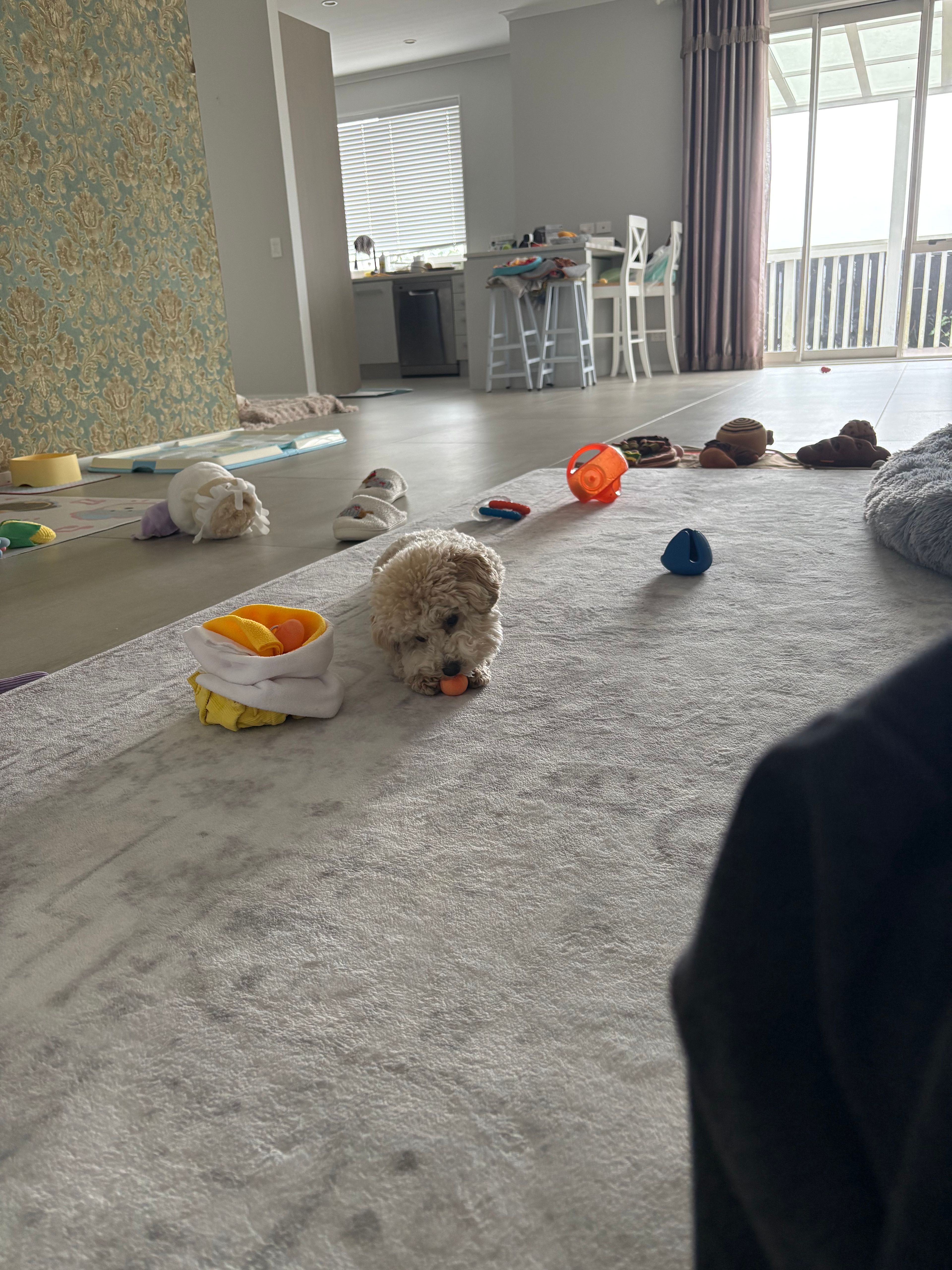 image-4