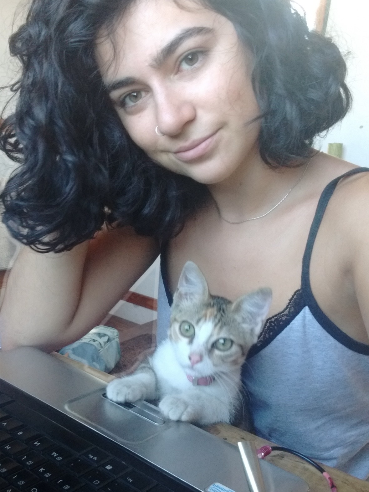 image-5