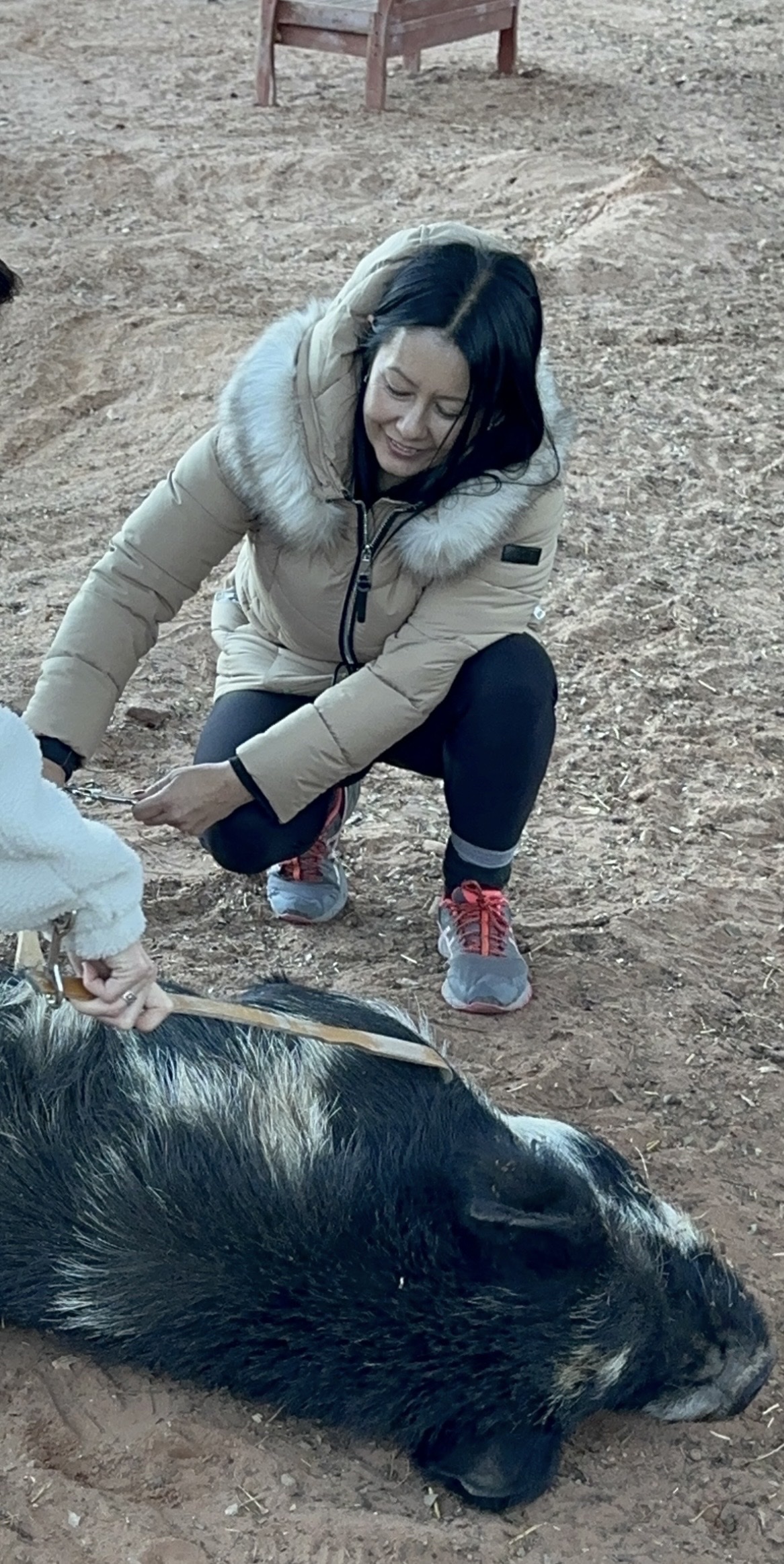 image-7