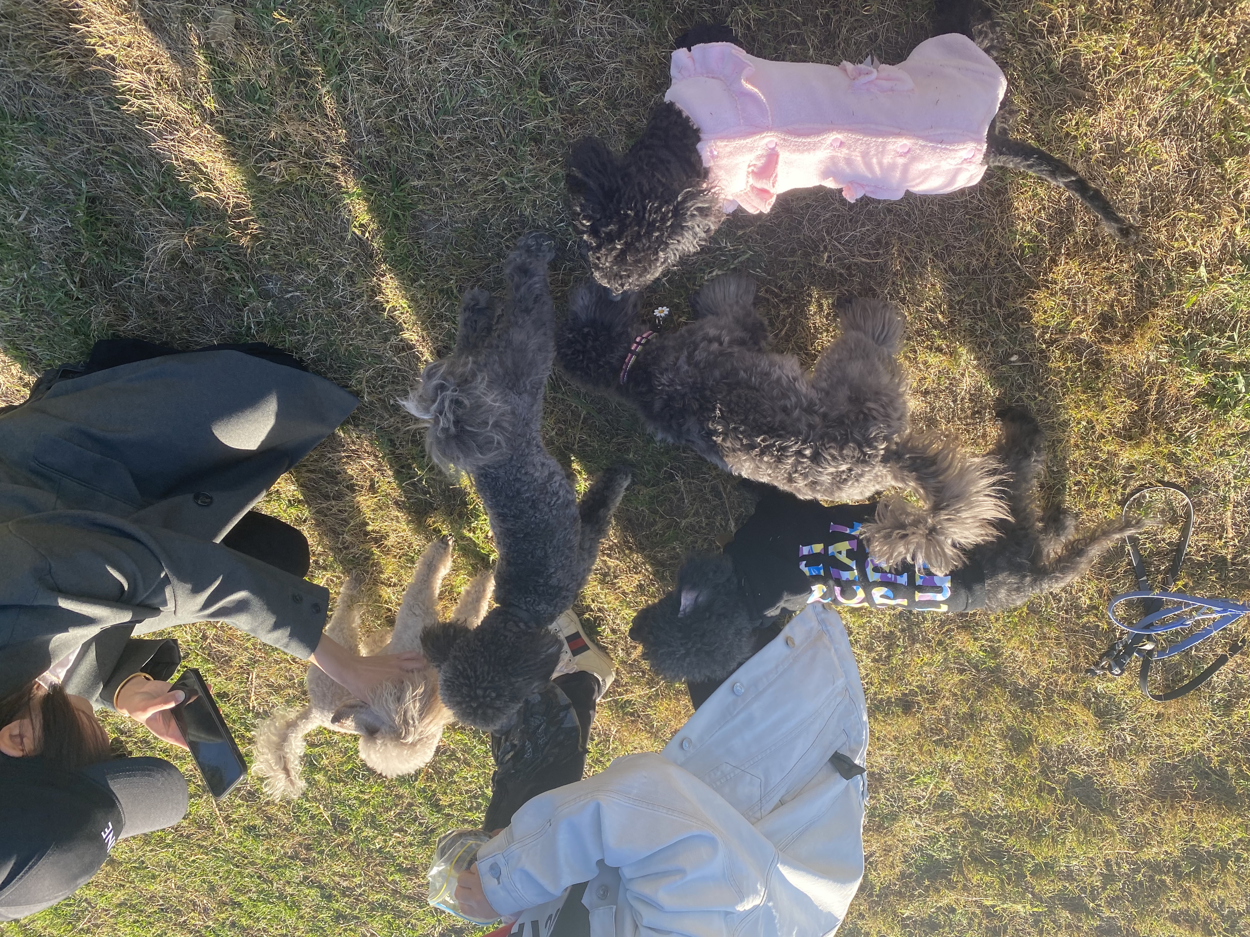 image-5