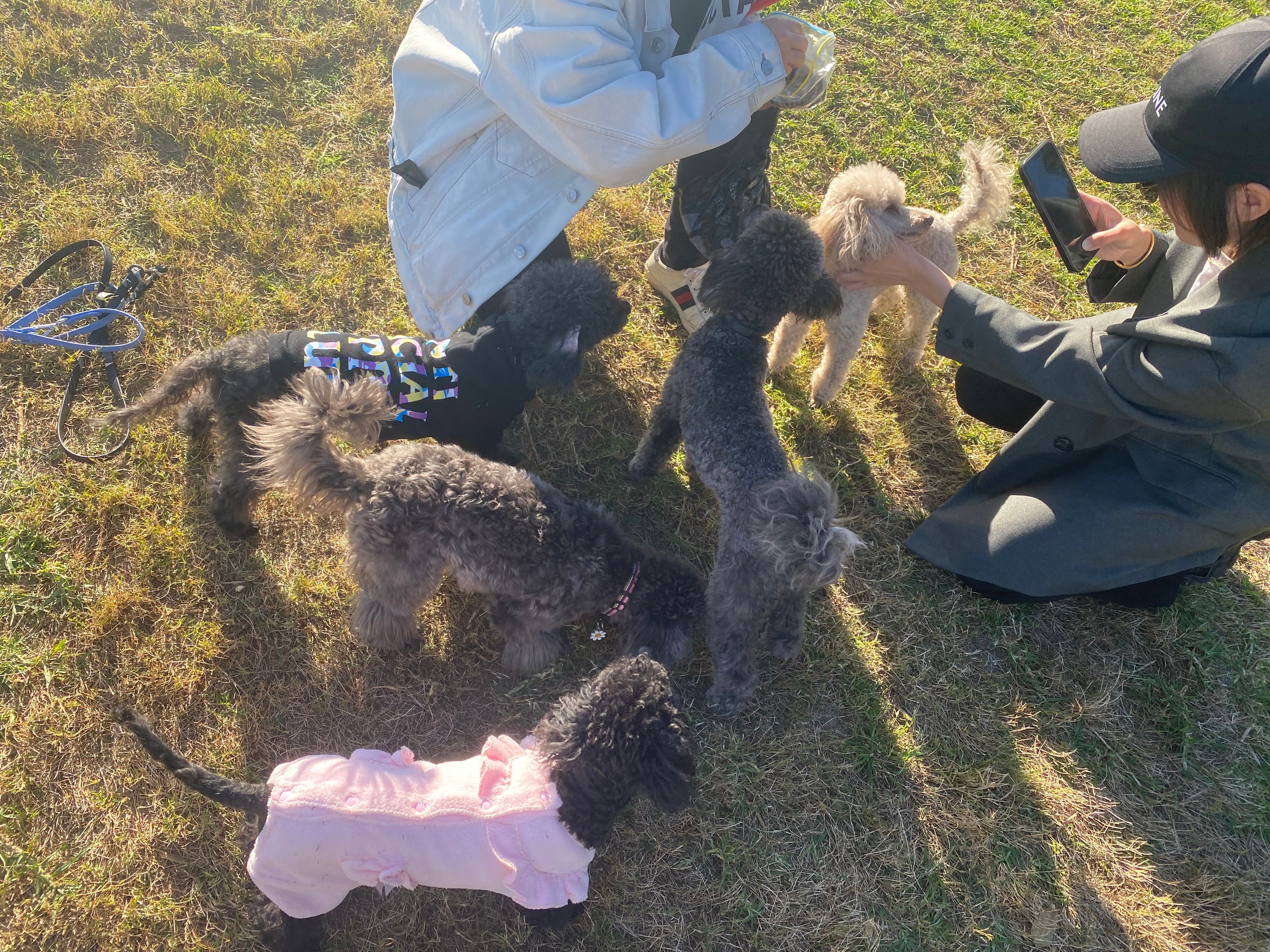 image-5