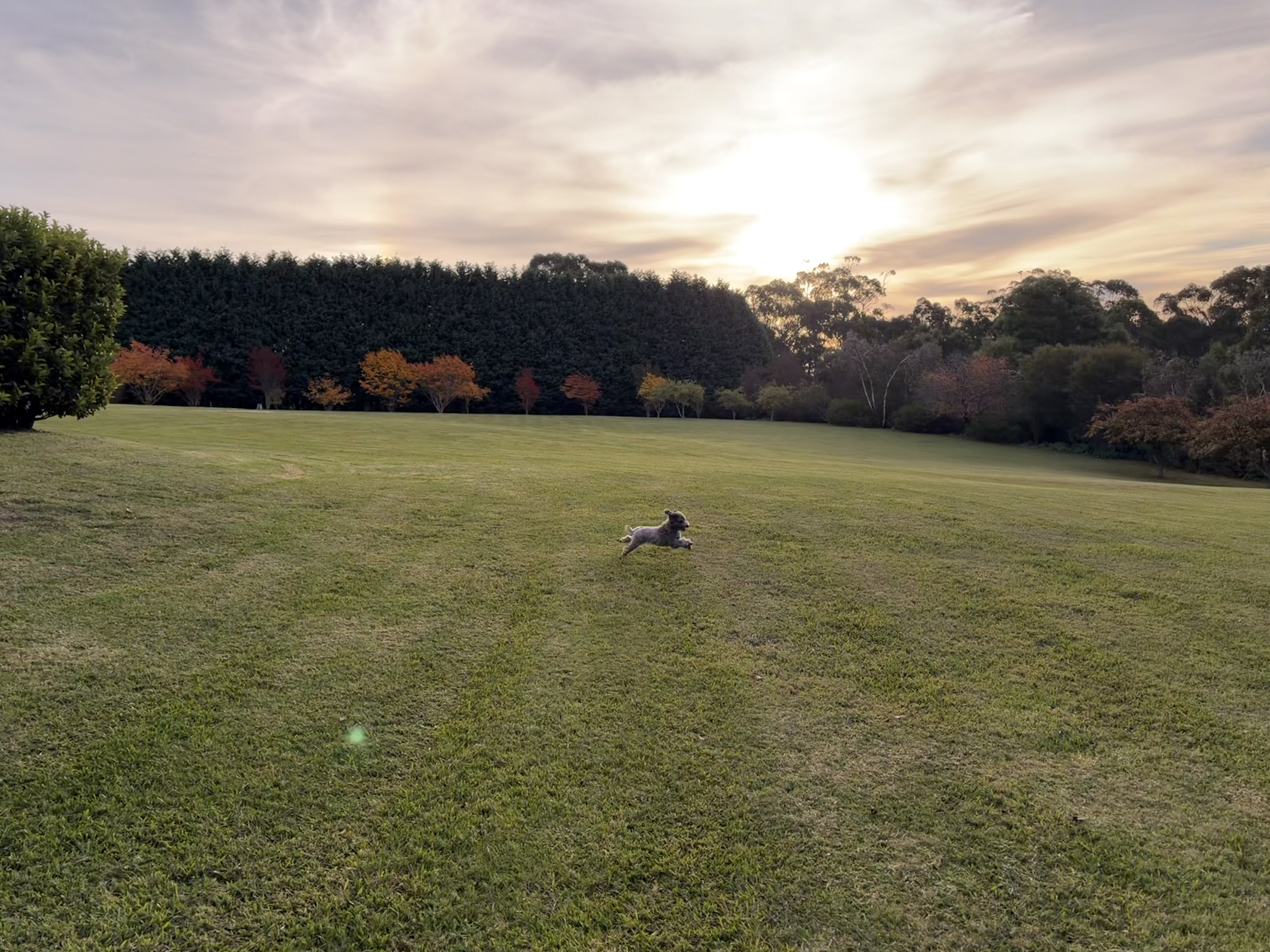 image-16