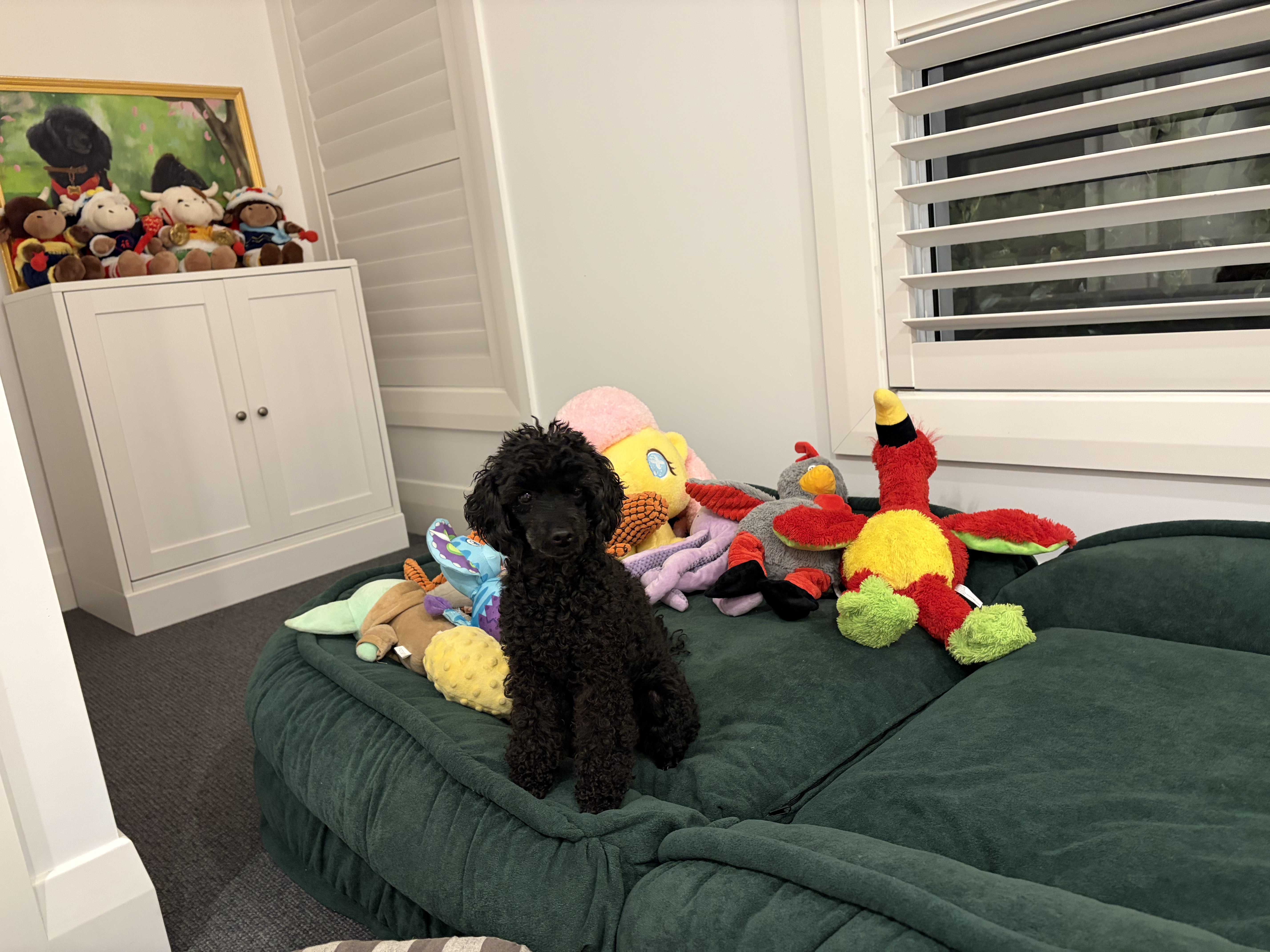 image-19