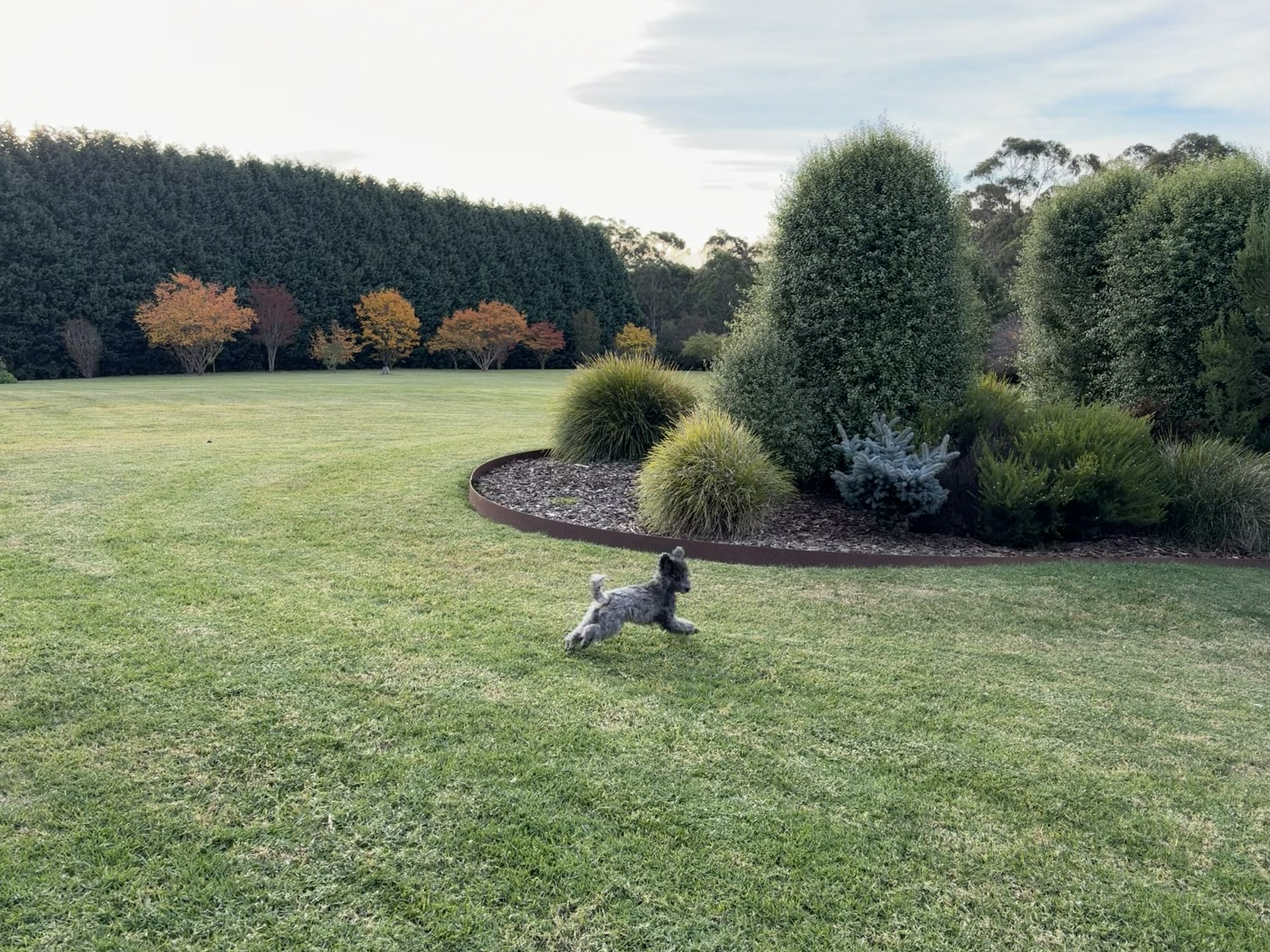 image-15