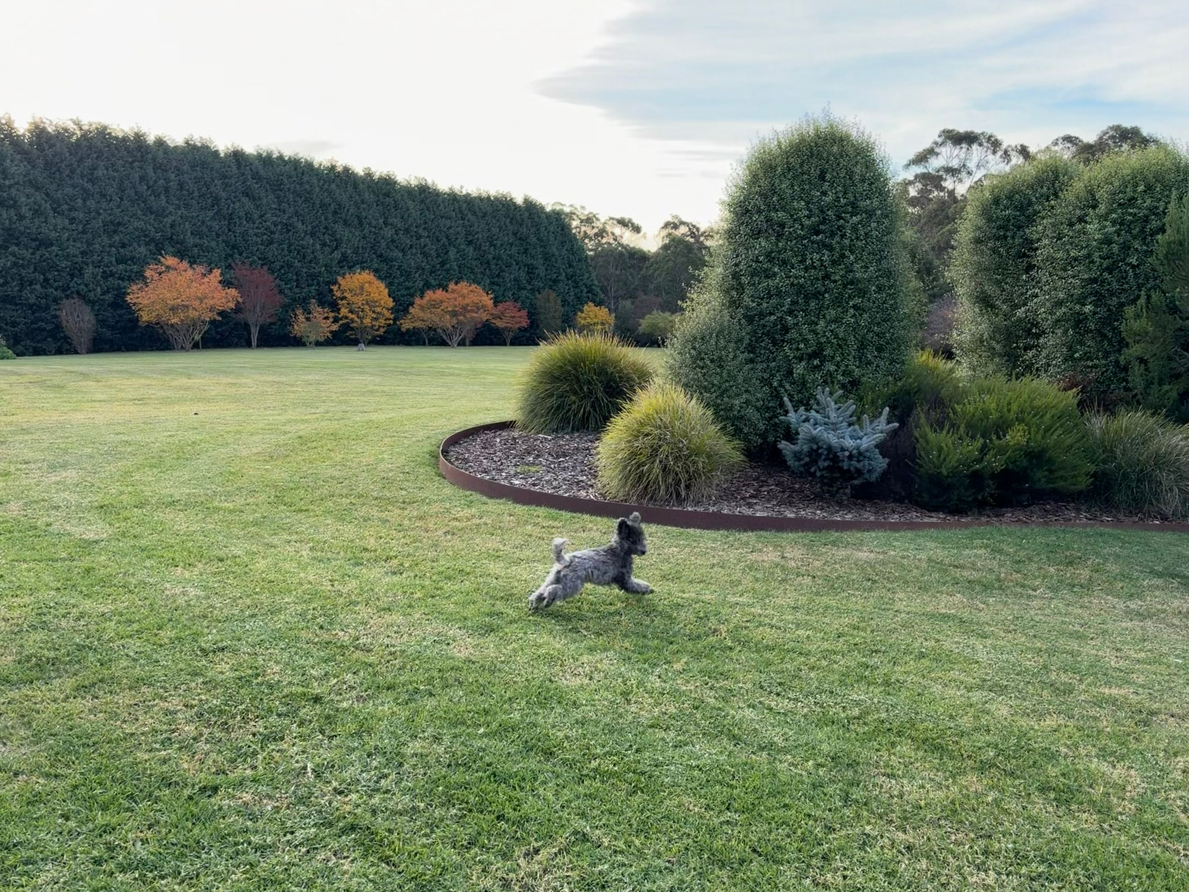 image-15