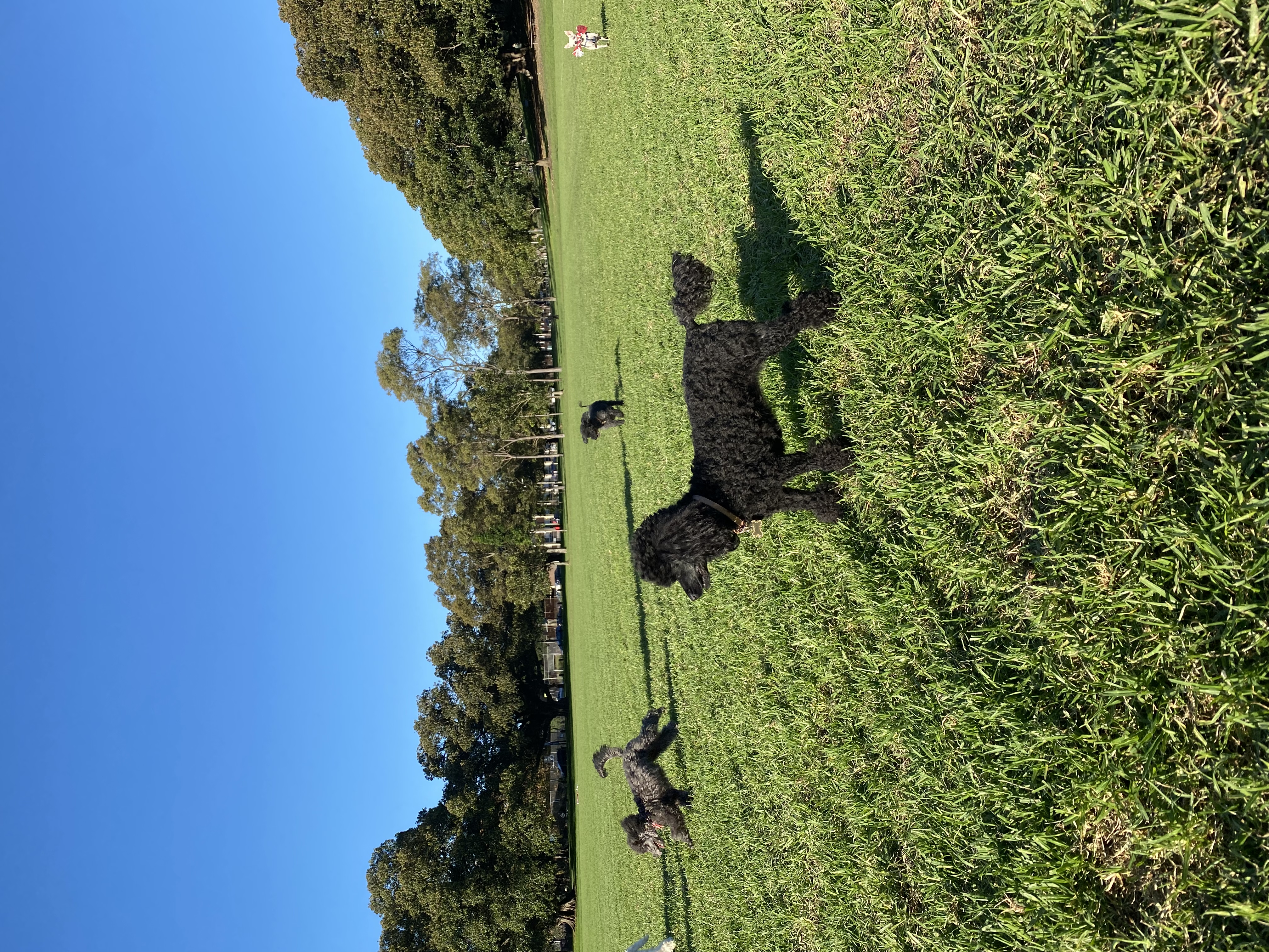 image-10