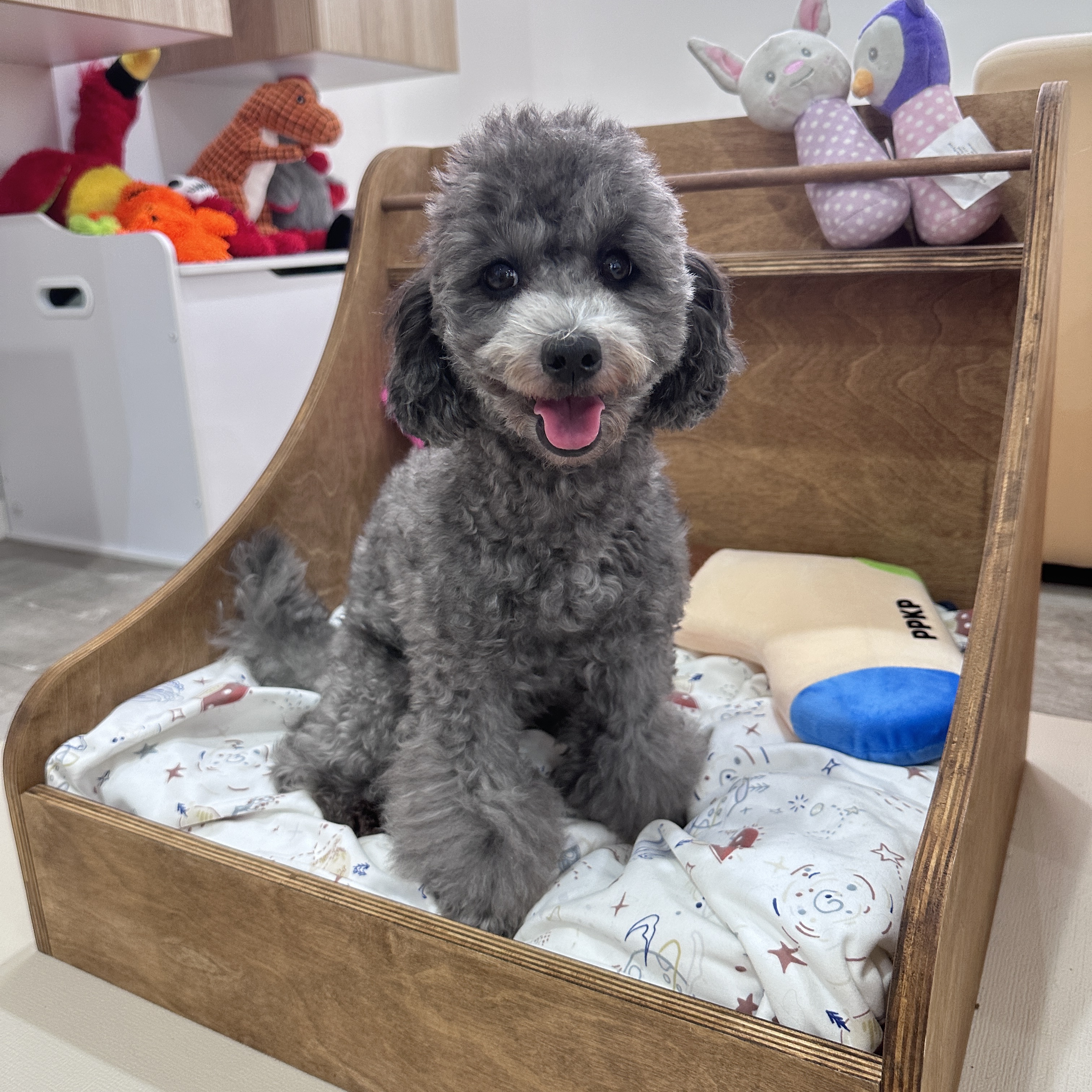 Lulu