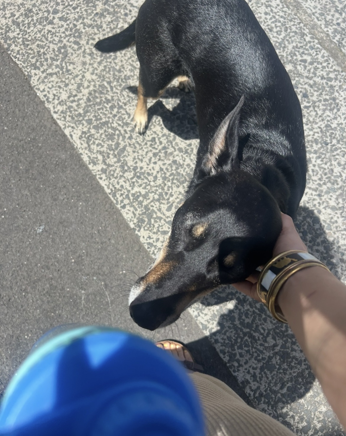 image-9