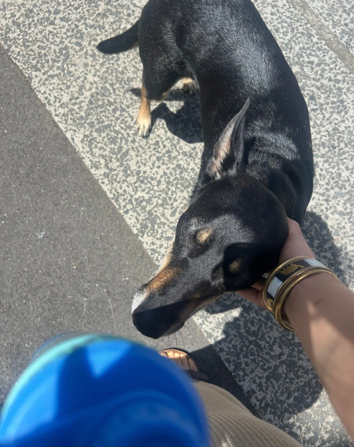 image-9