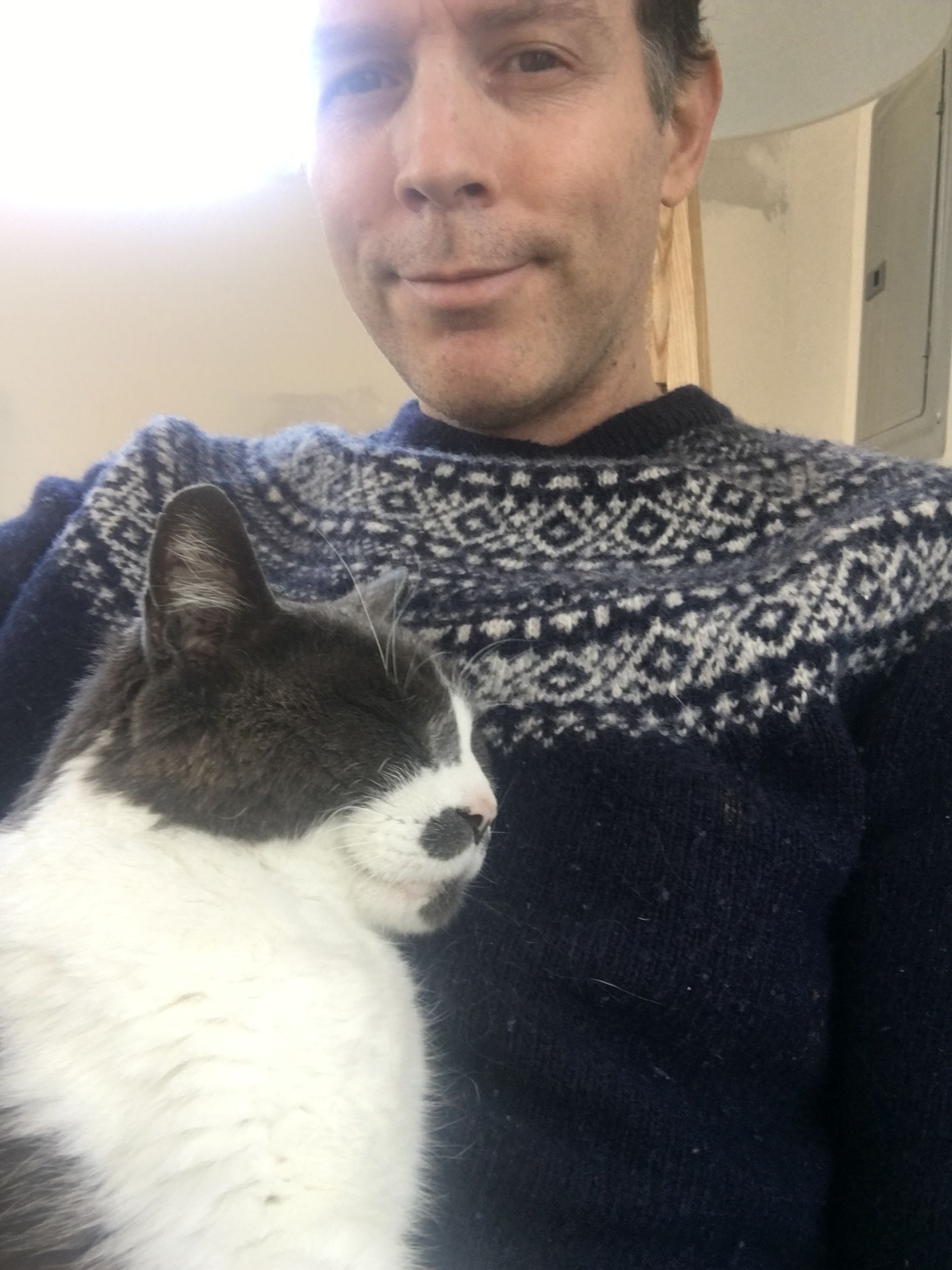 image-6