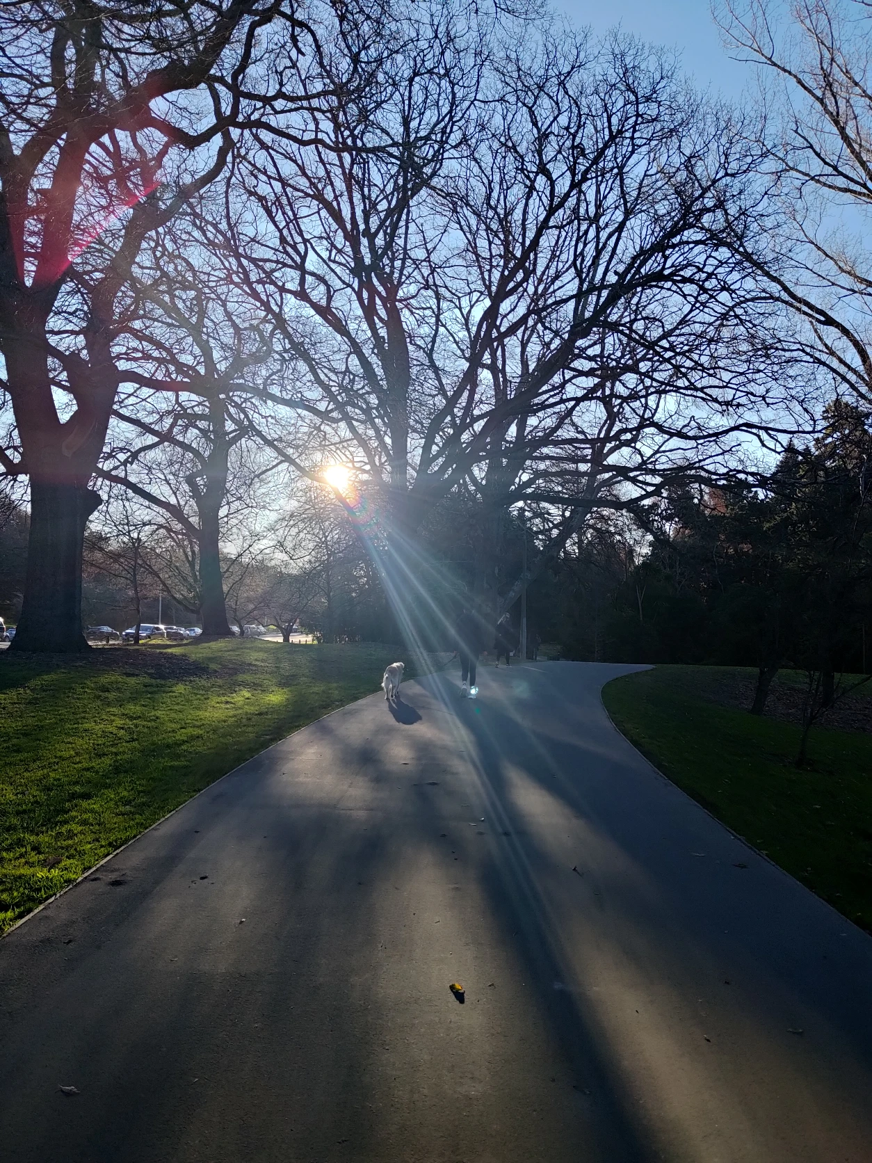 image-25