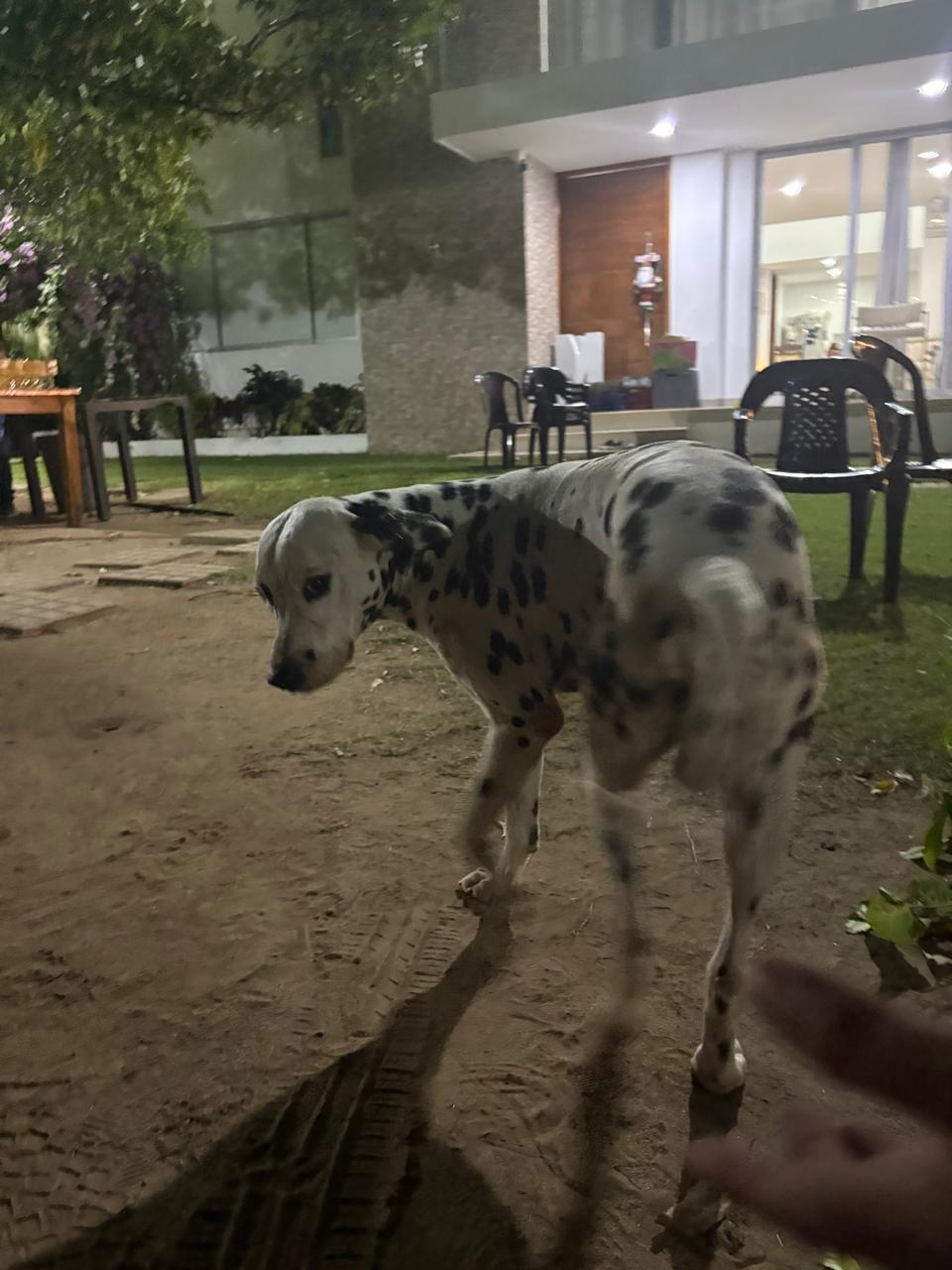 image-5