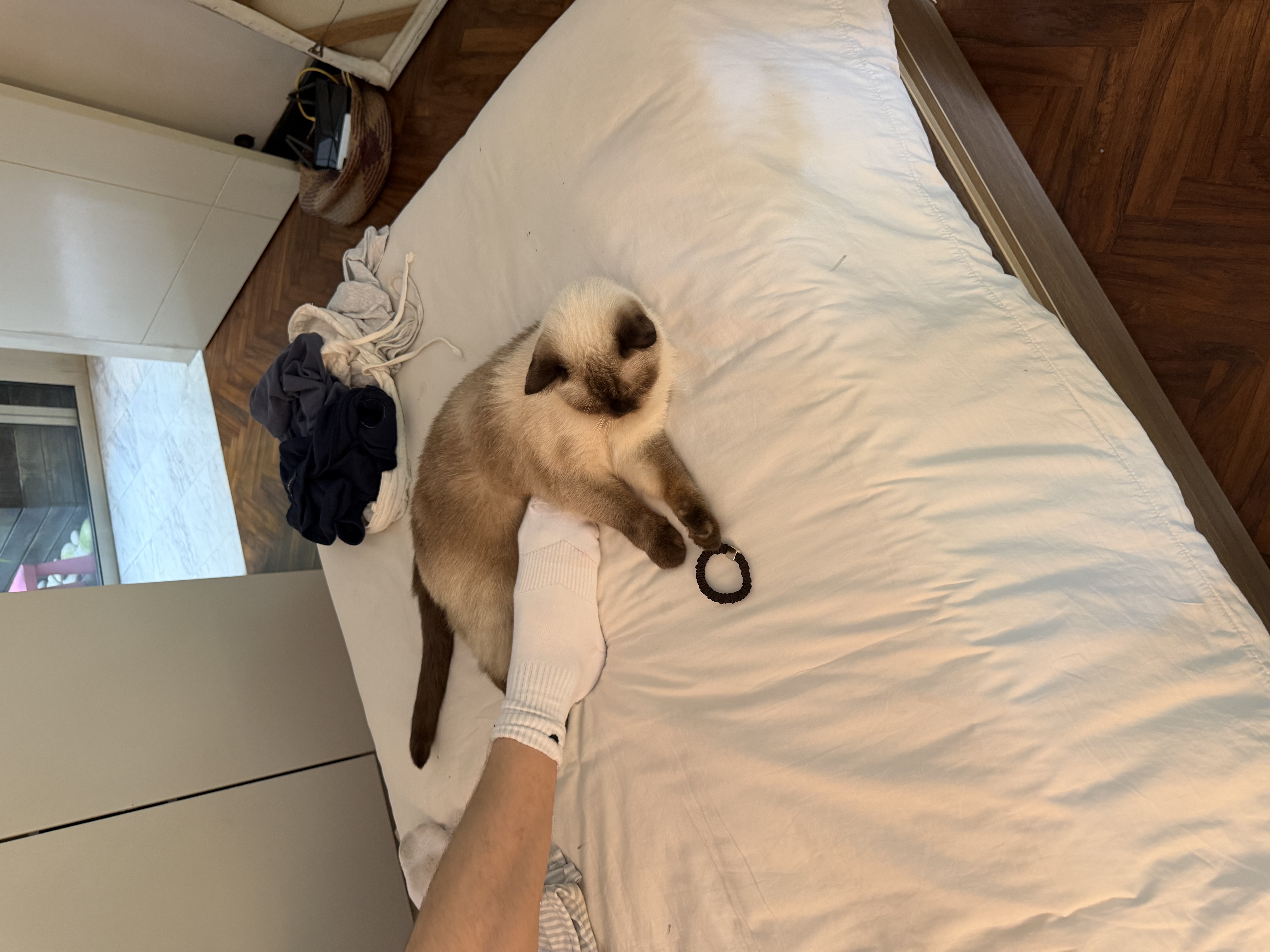 image-8