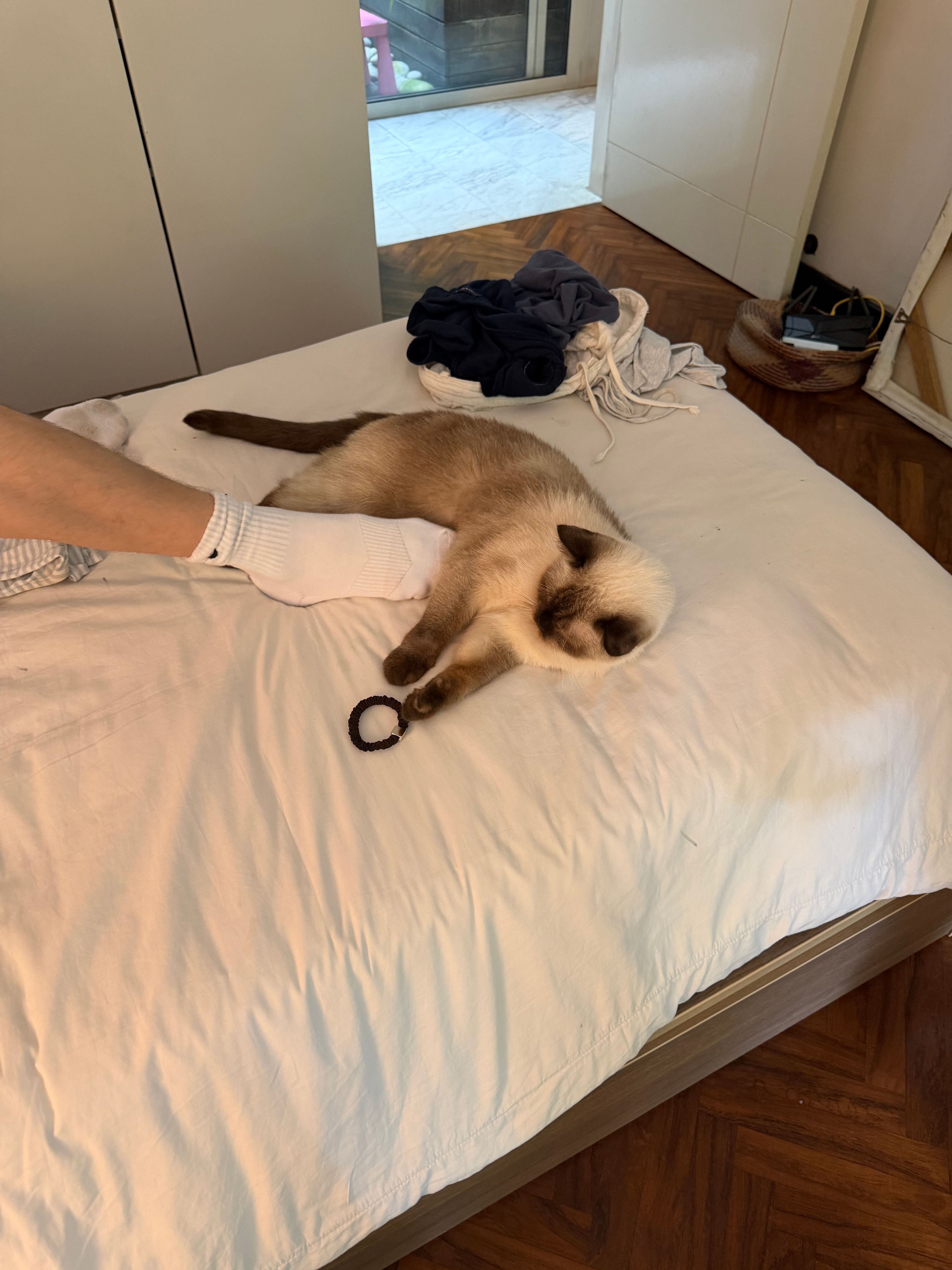 image-8
