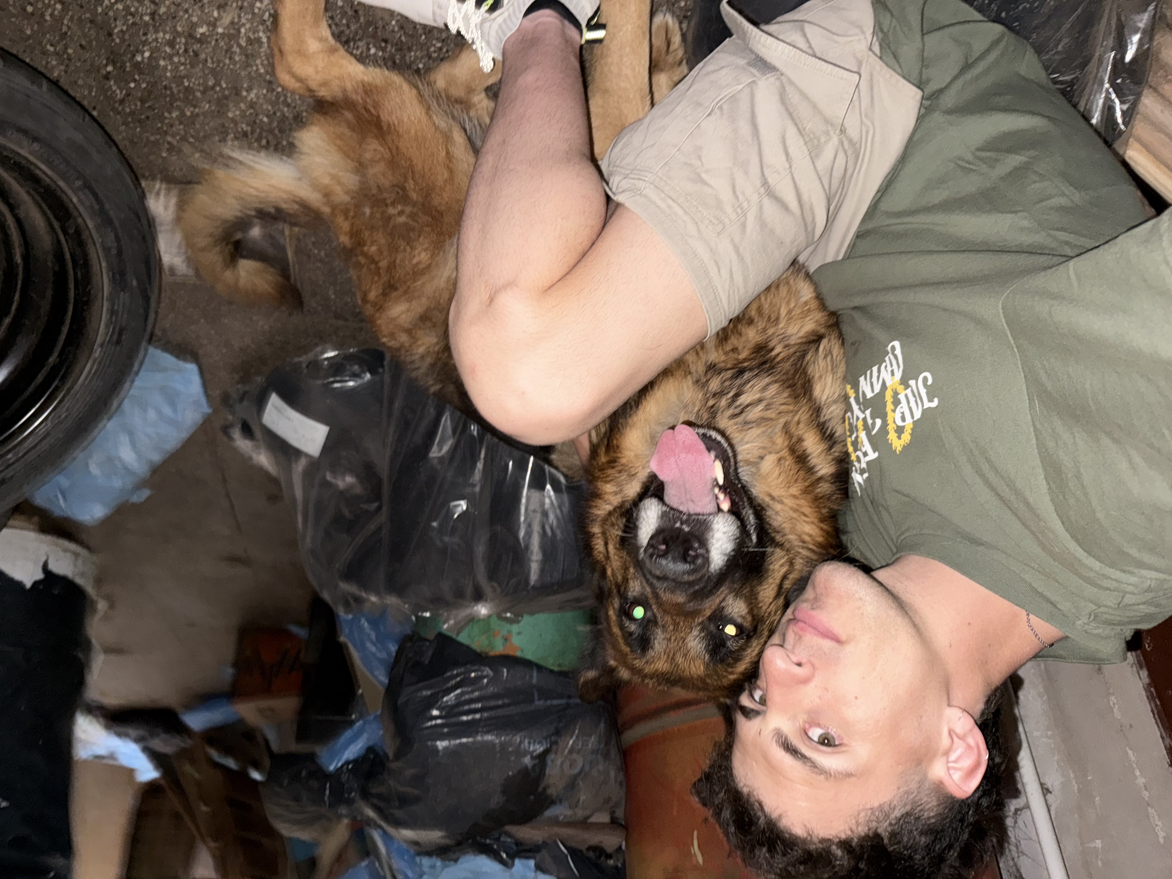 image-5