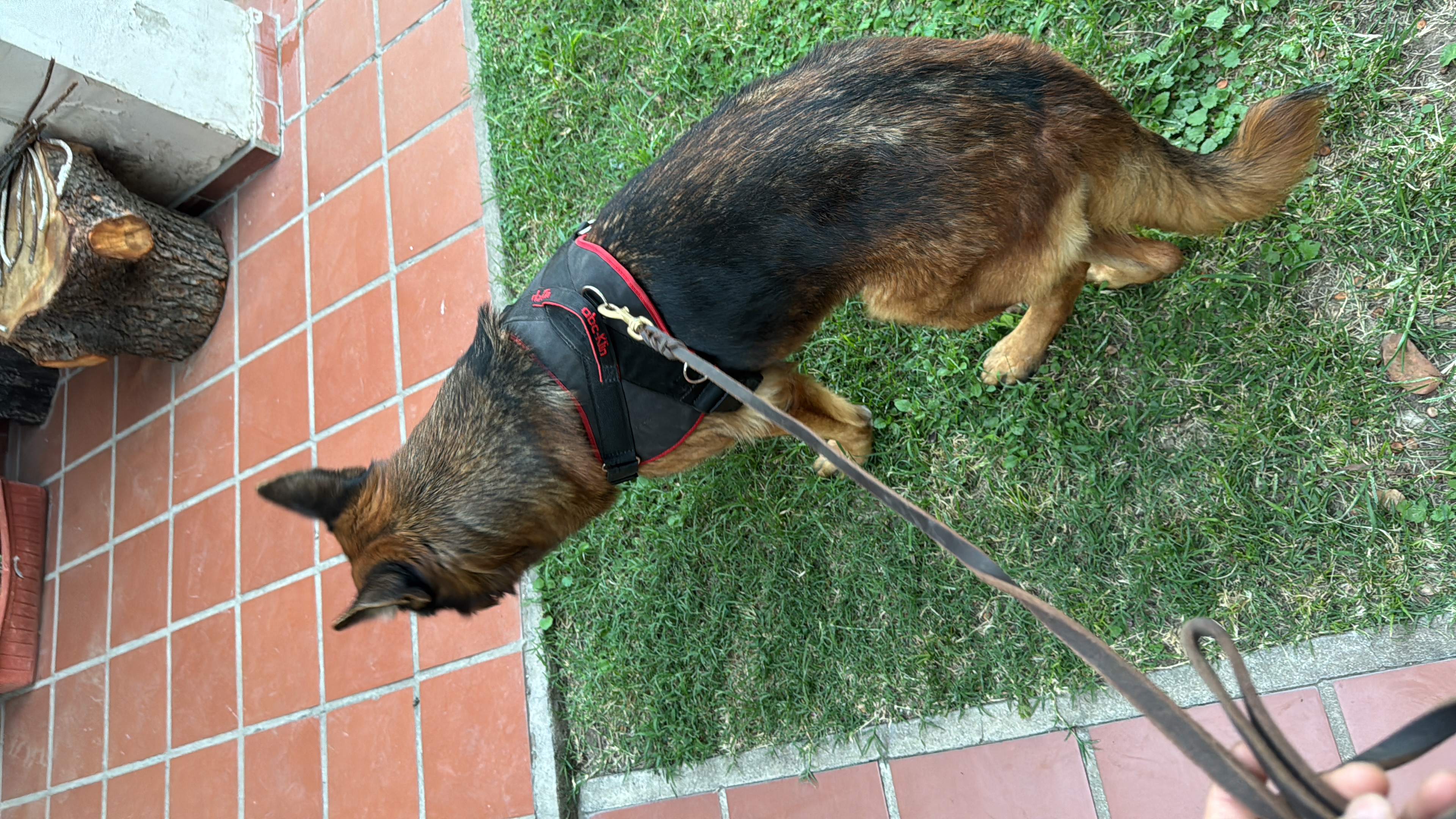 image-11