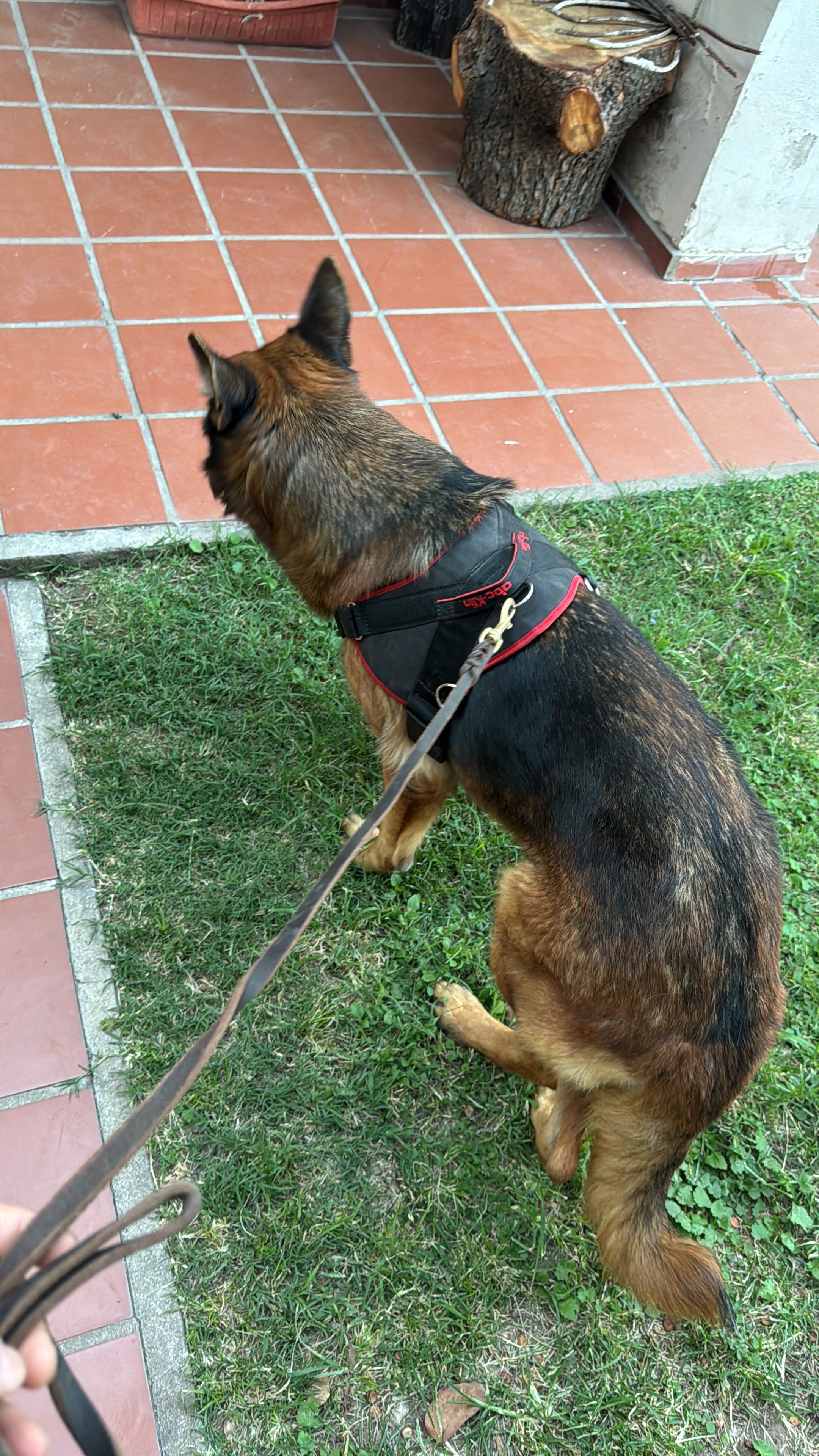 image-15