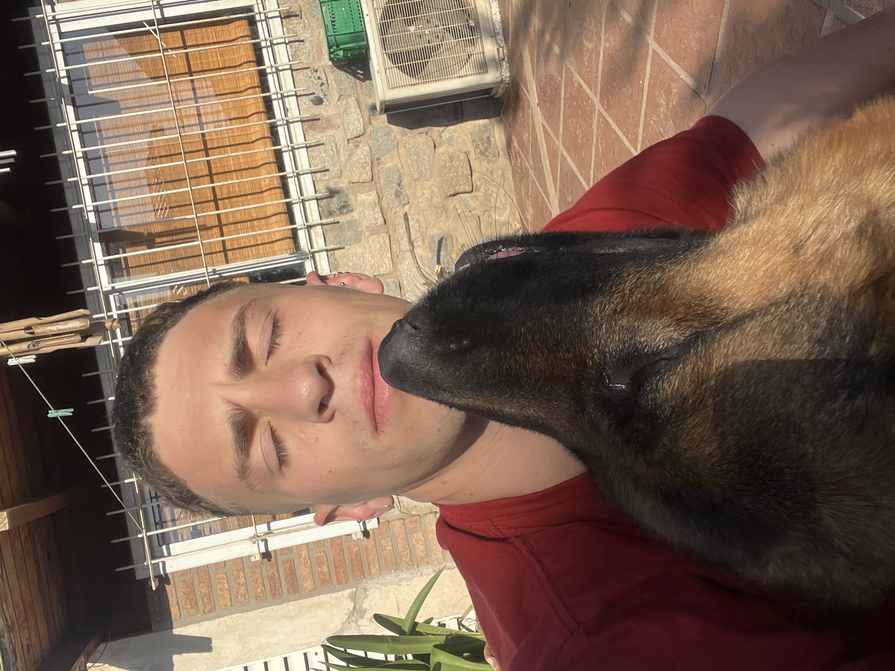 image-6