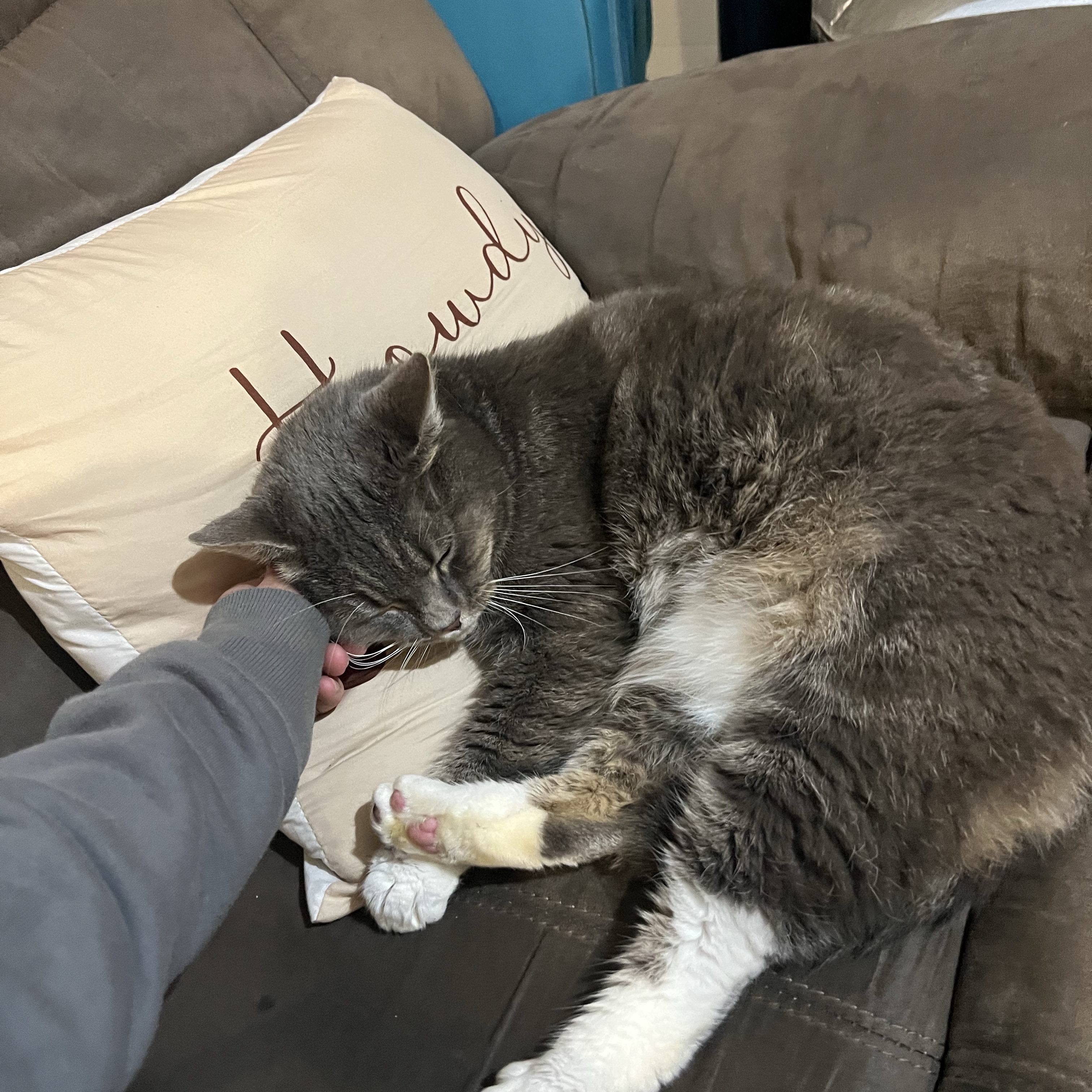 Leia