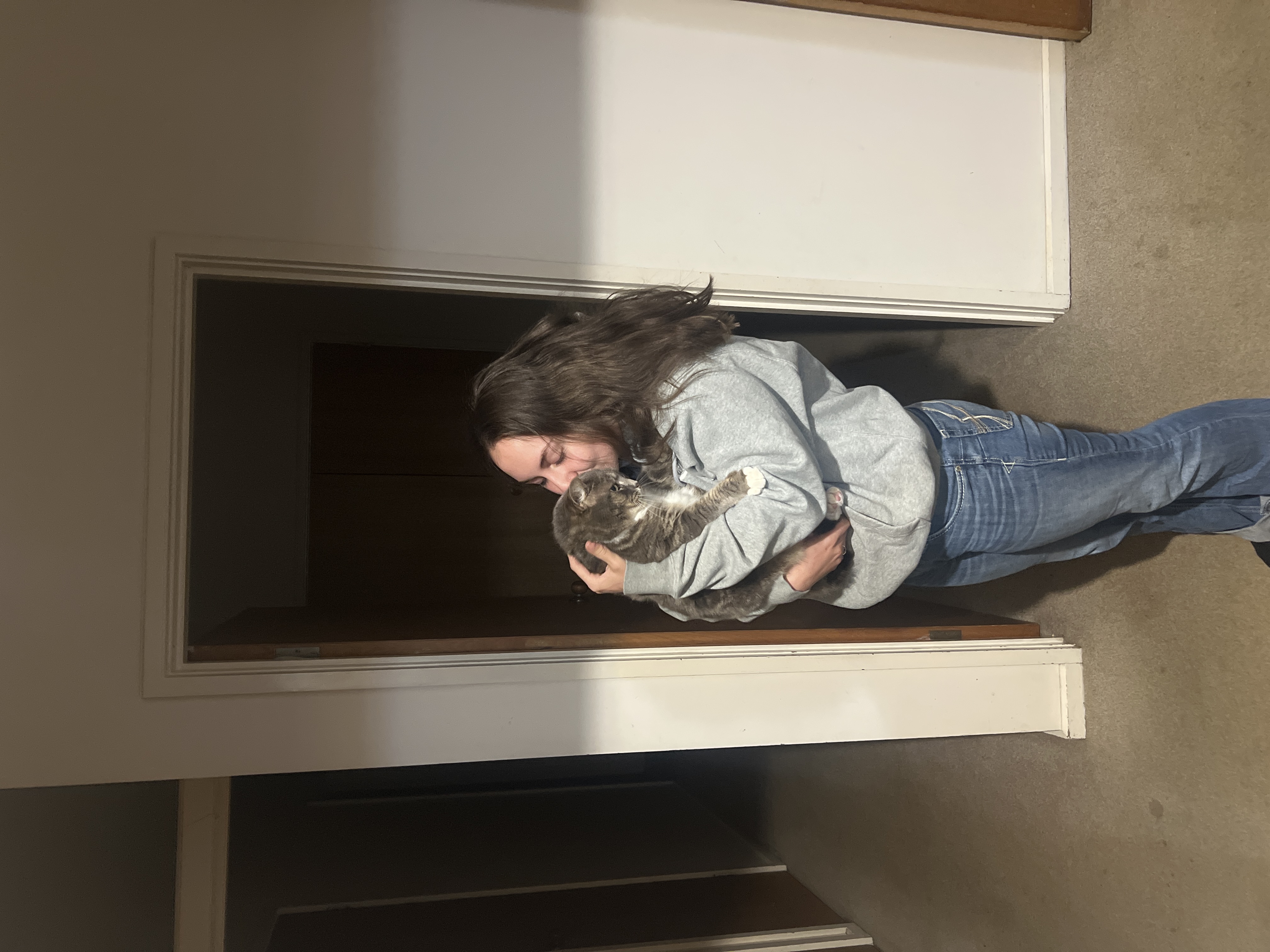 image-6