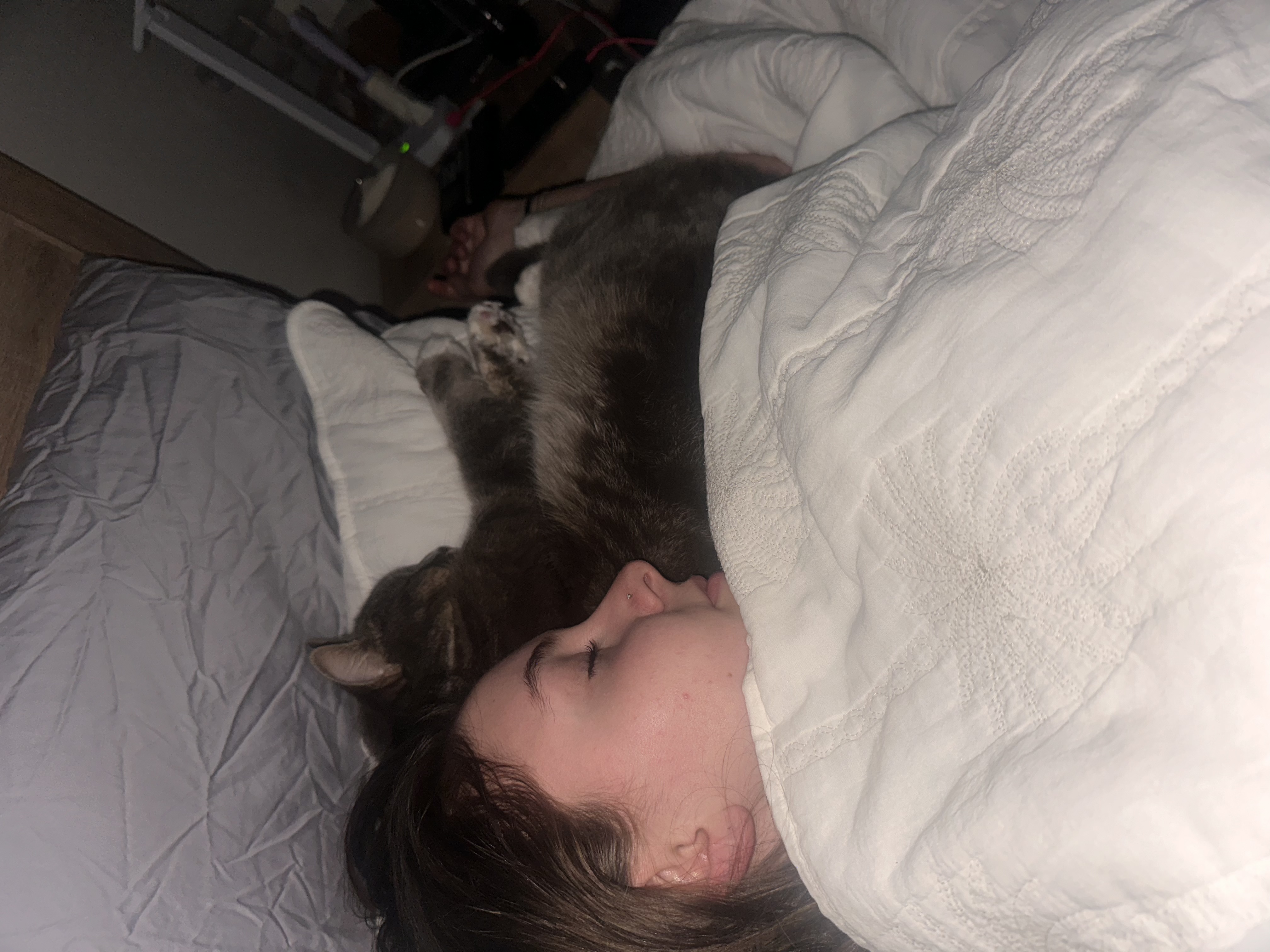 image-2