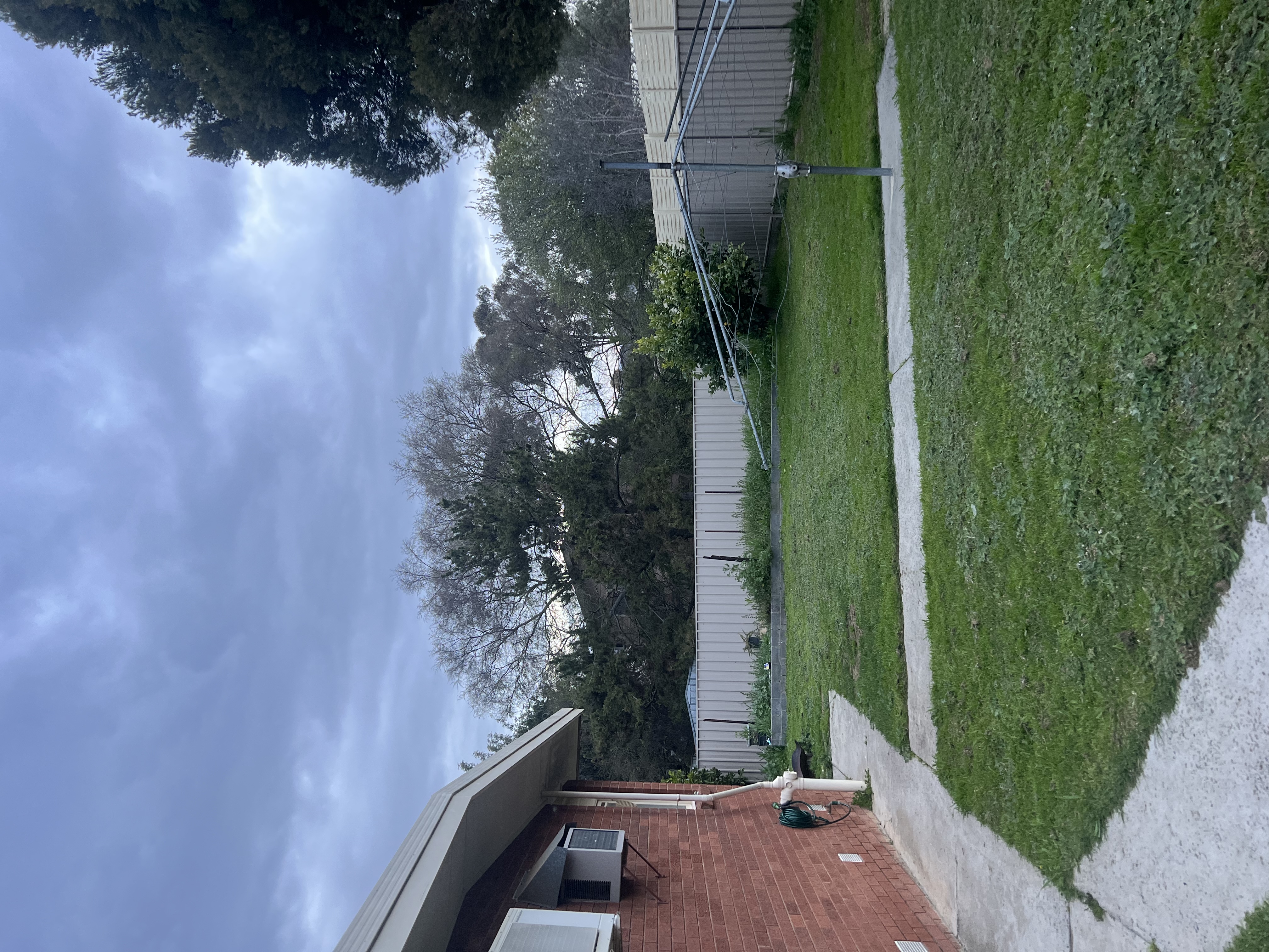 image-7