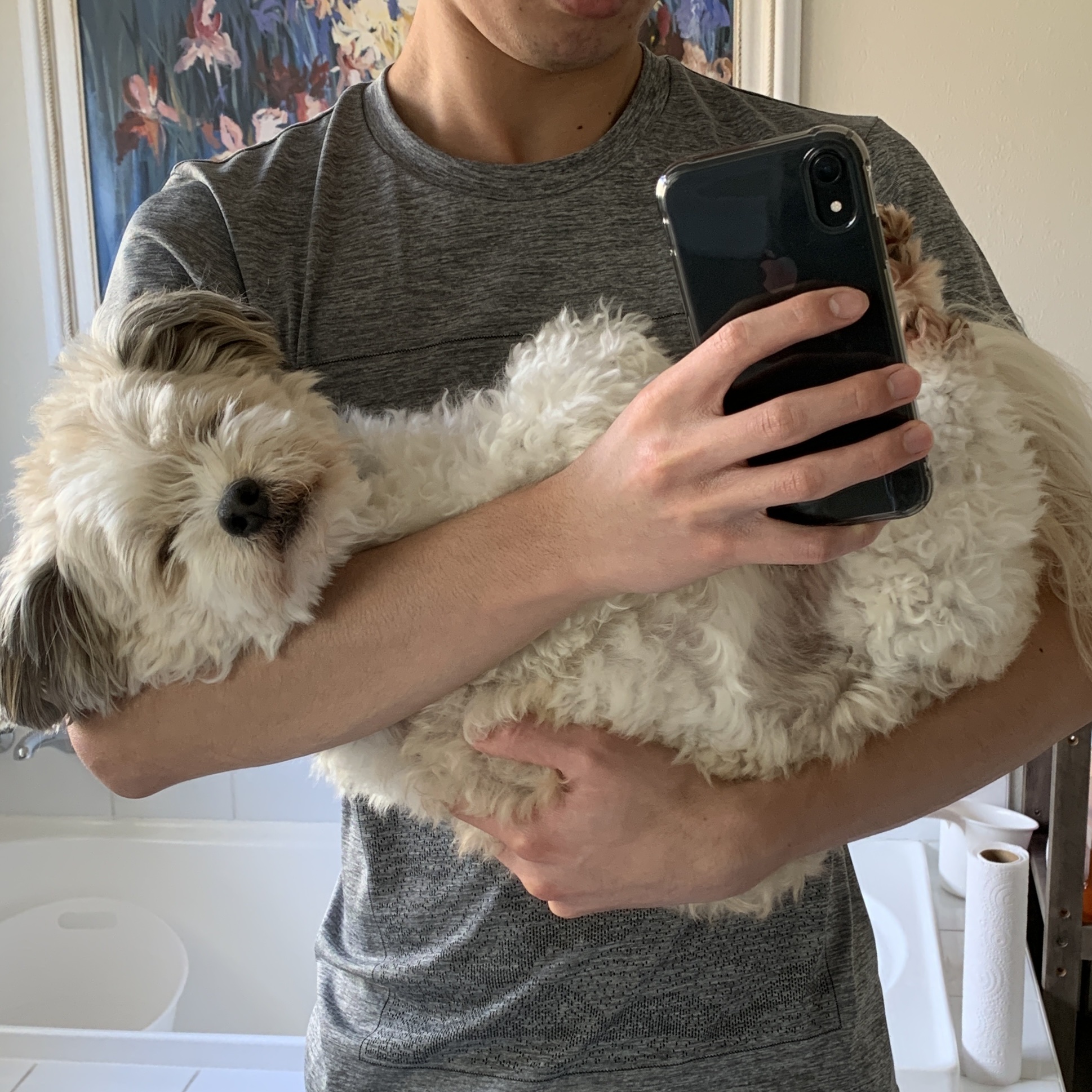 image-8
