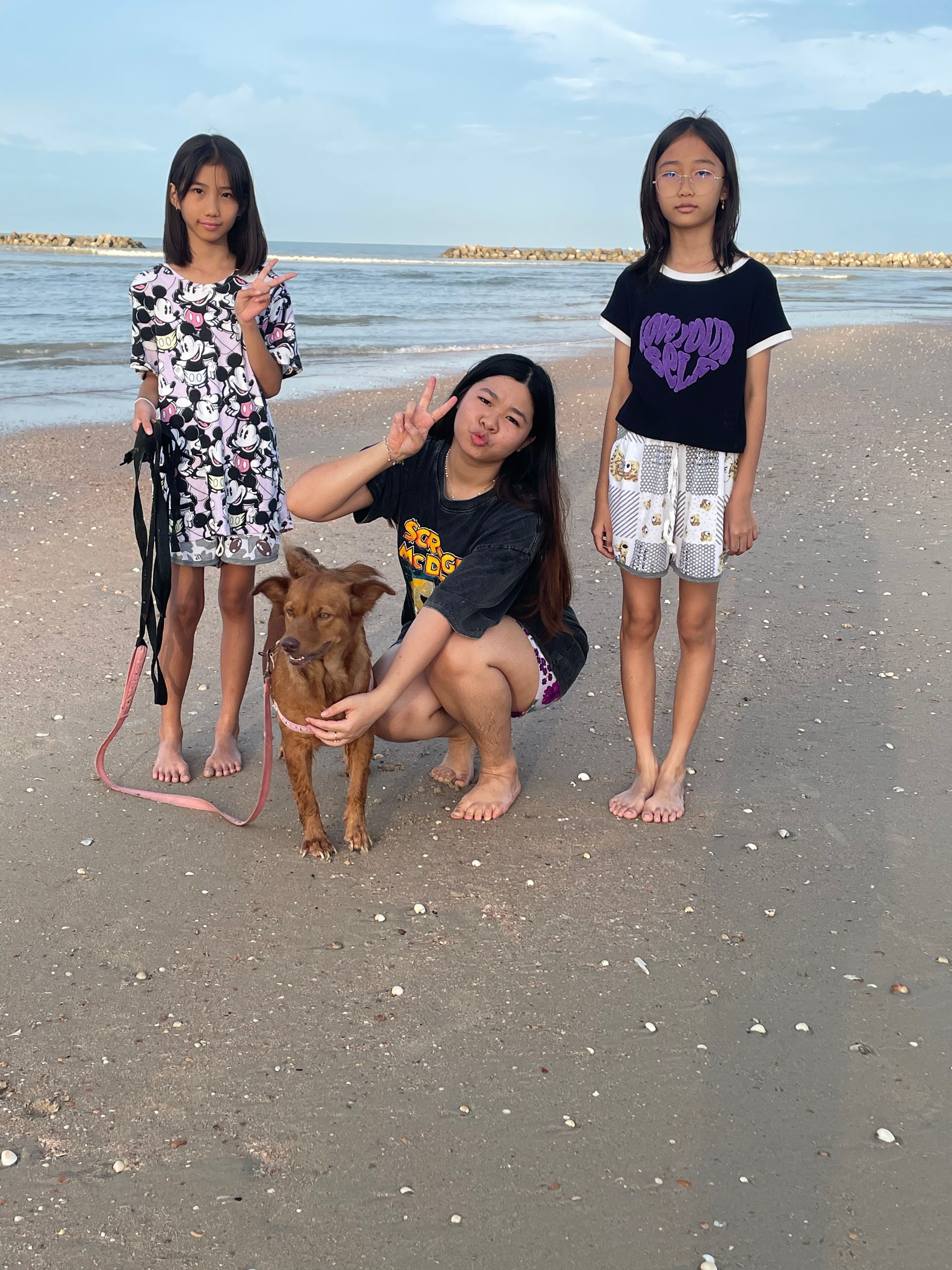 image-7