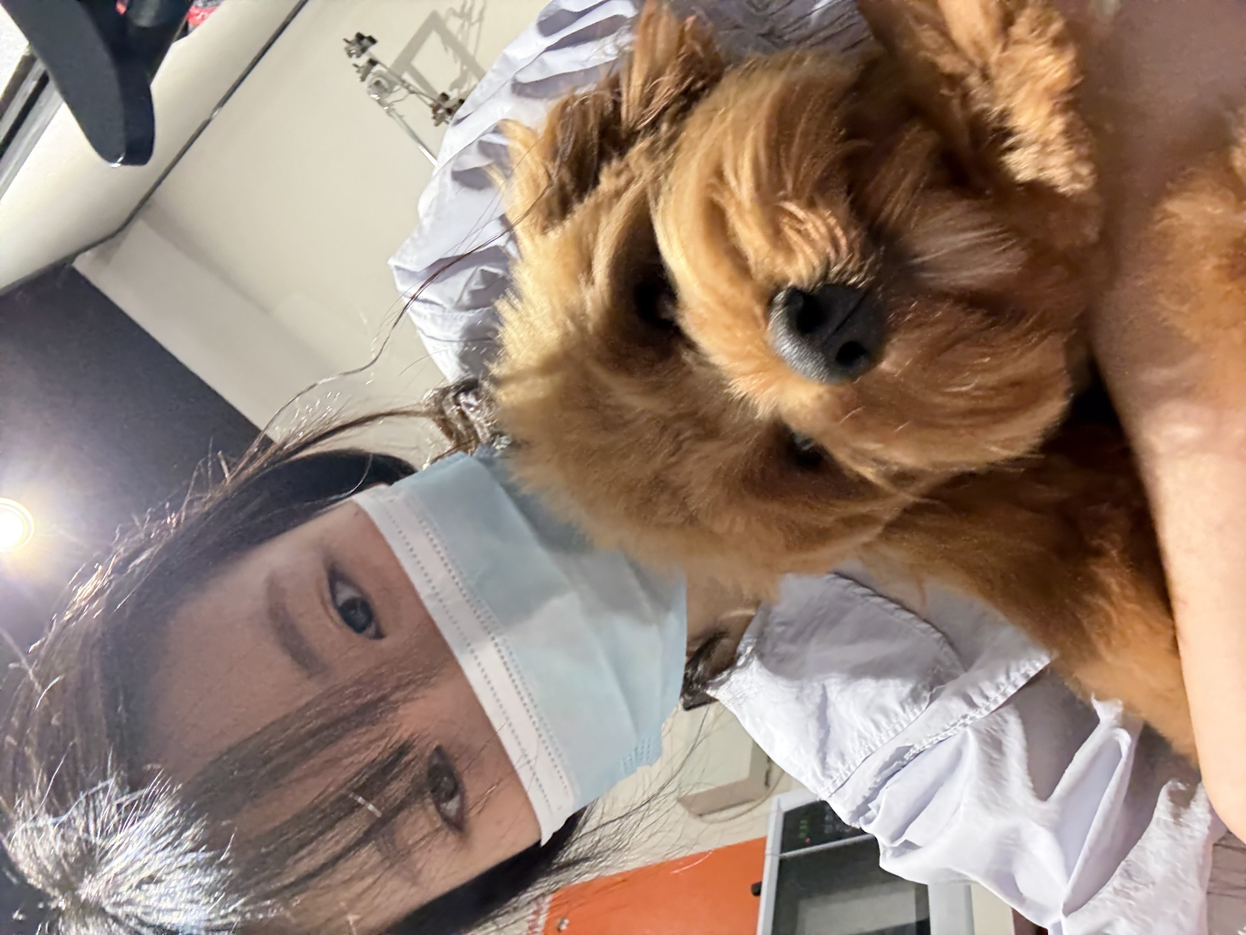 image-8