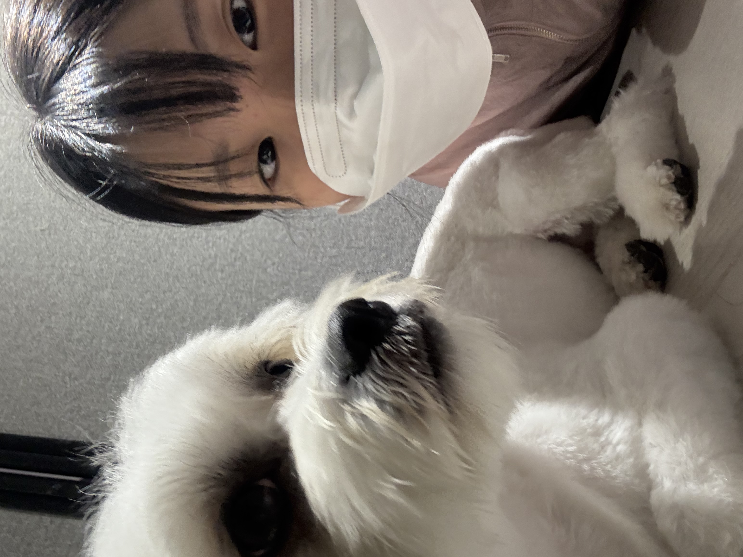 image-14