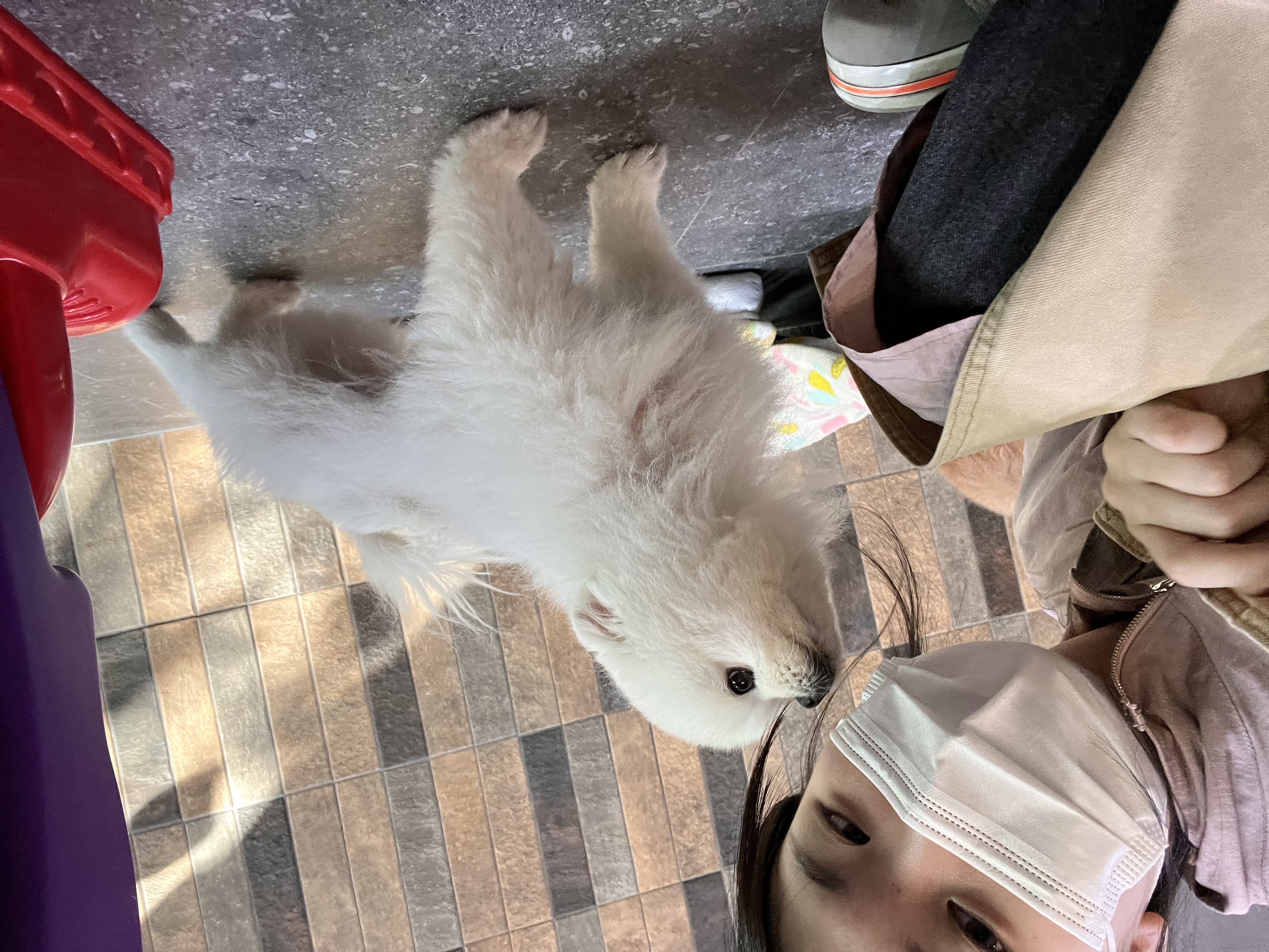 image-10