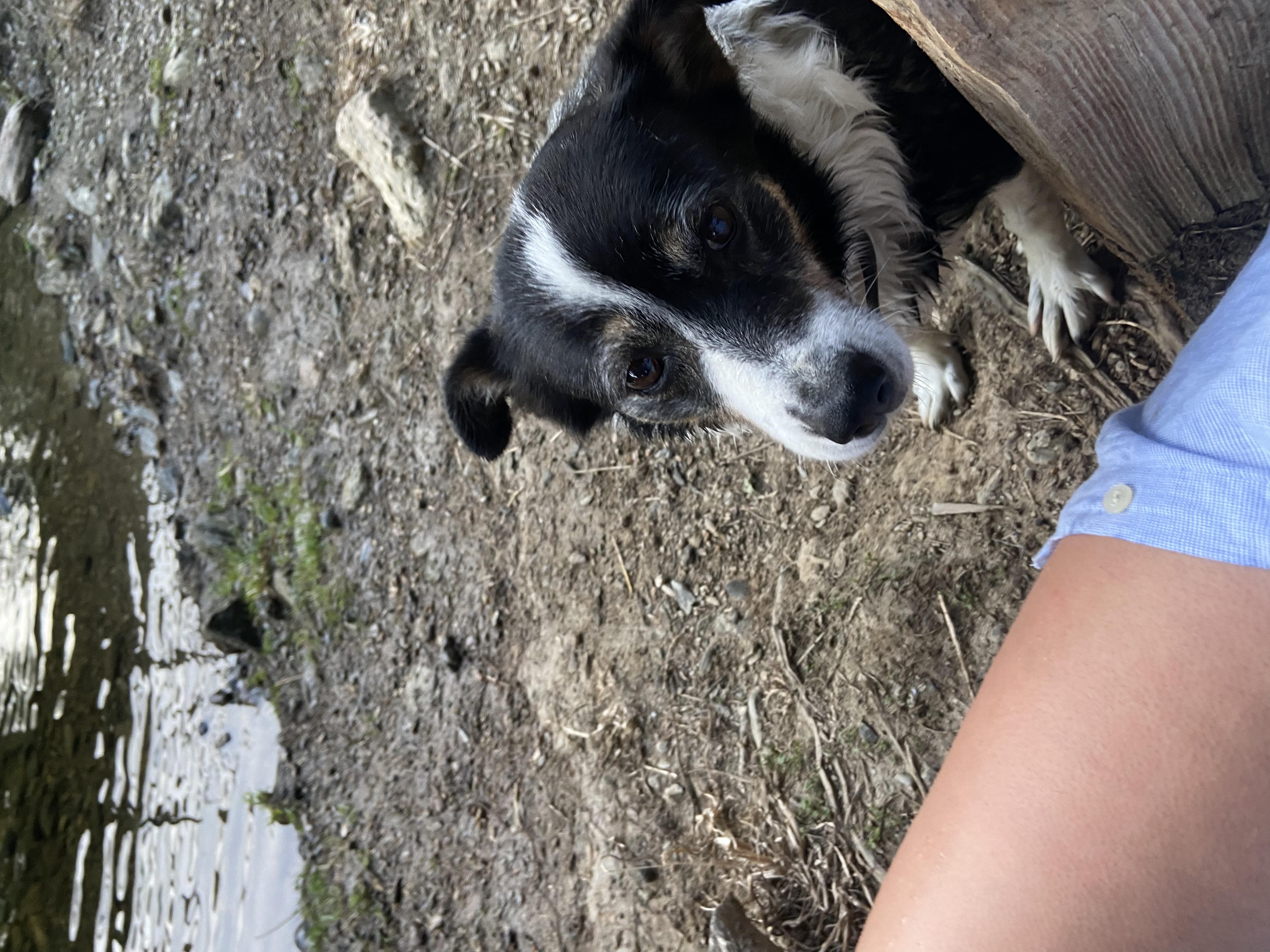 image-6