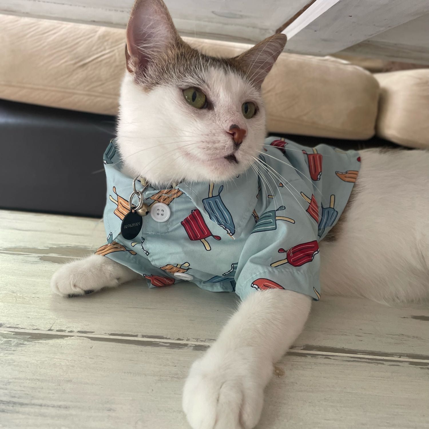 Klaus