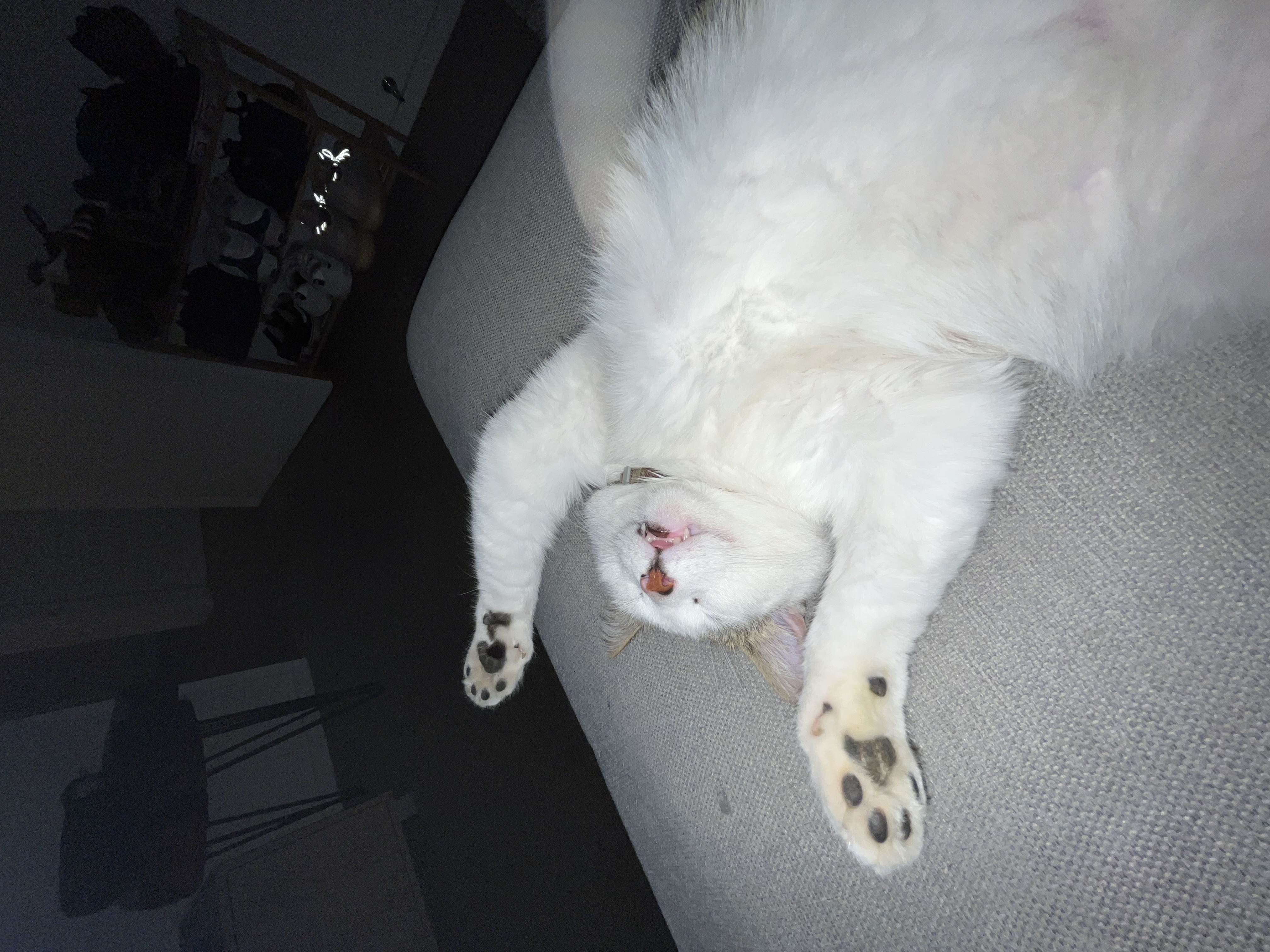 image-6