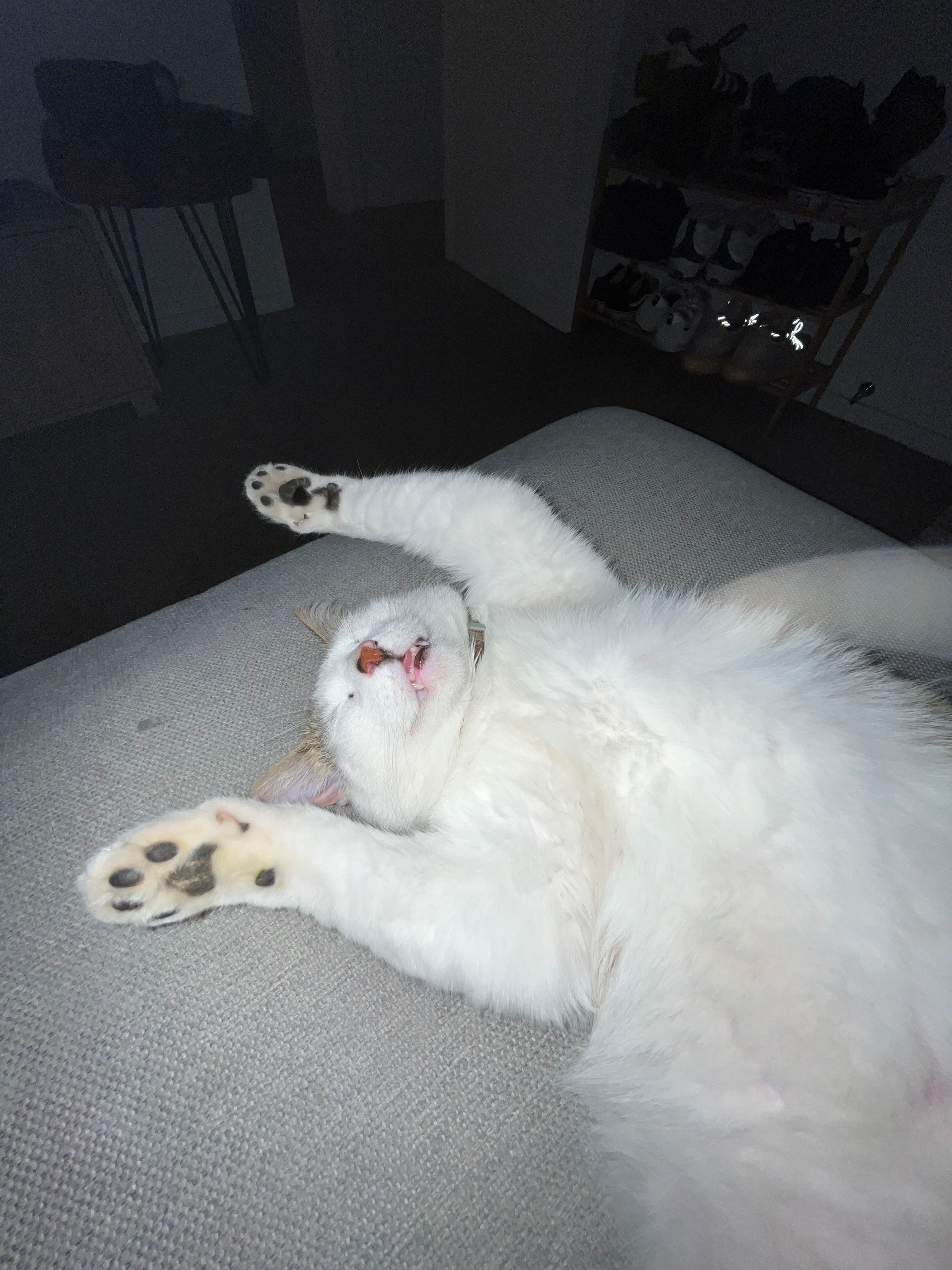 image-6