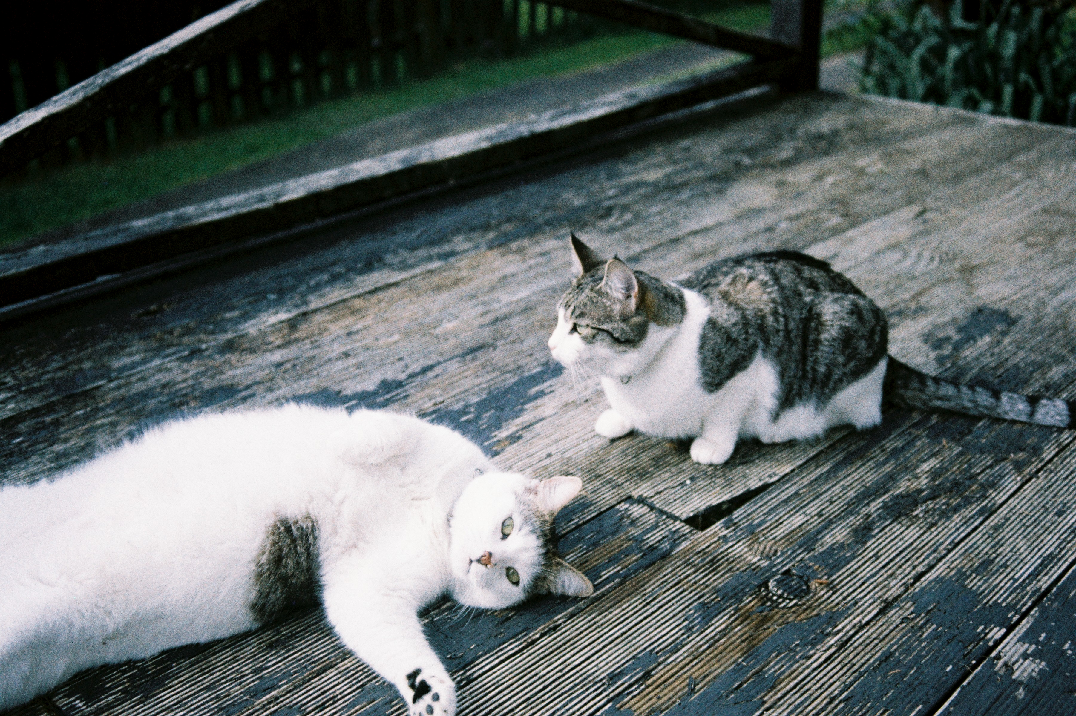 image-7