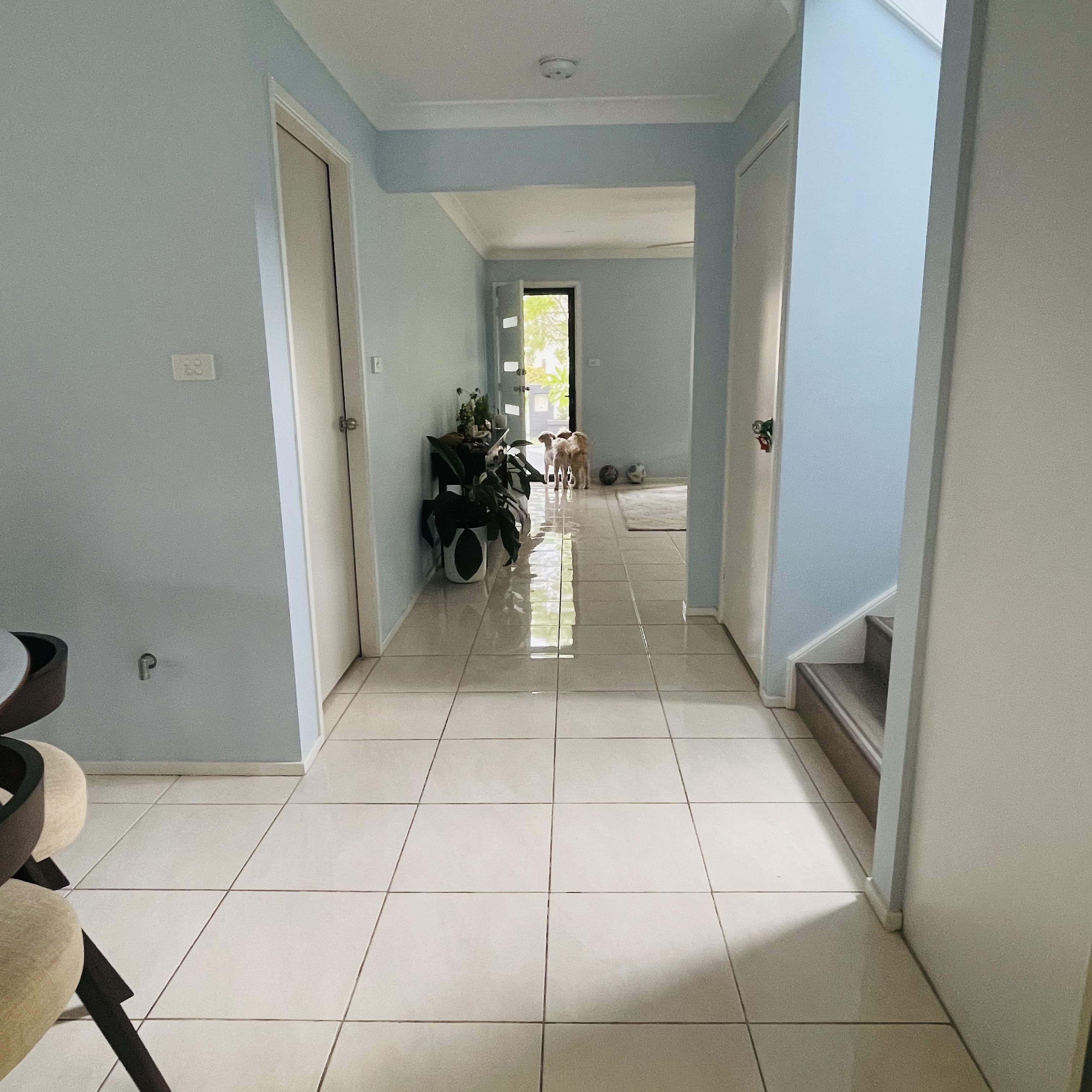 image-26