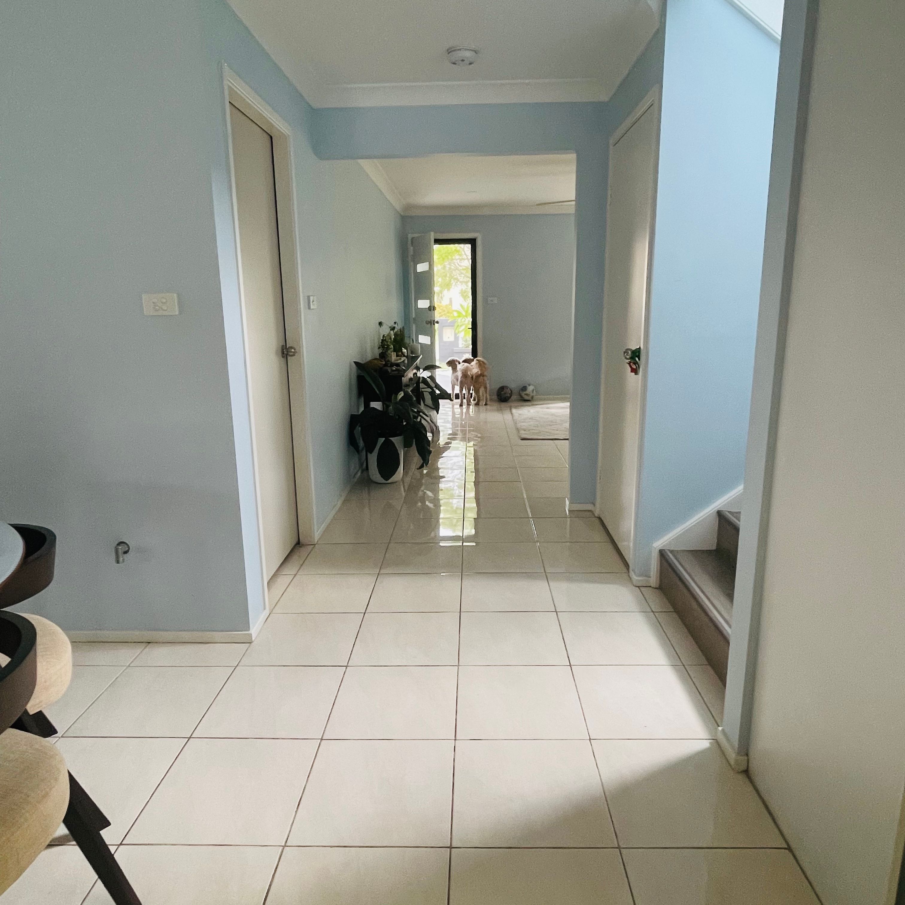 image-26