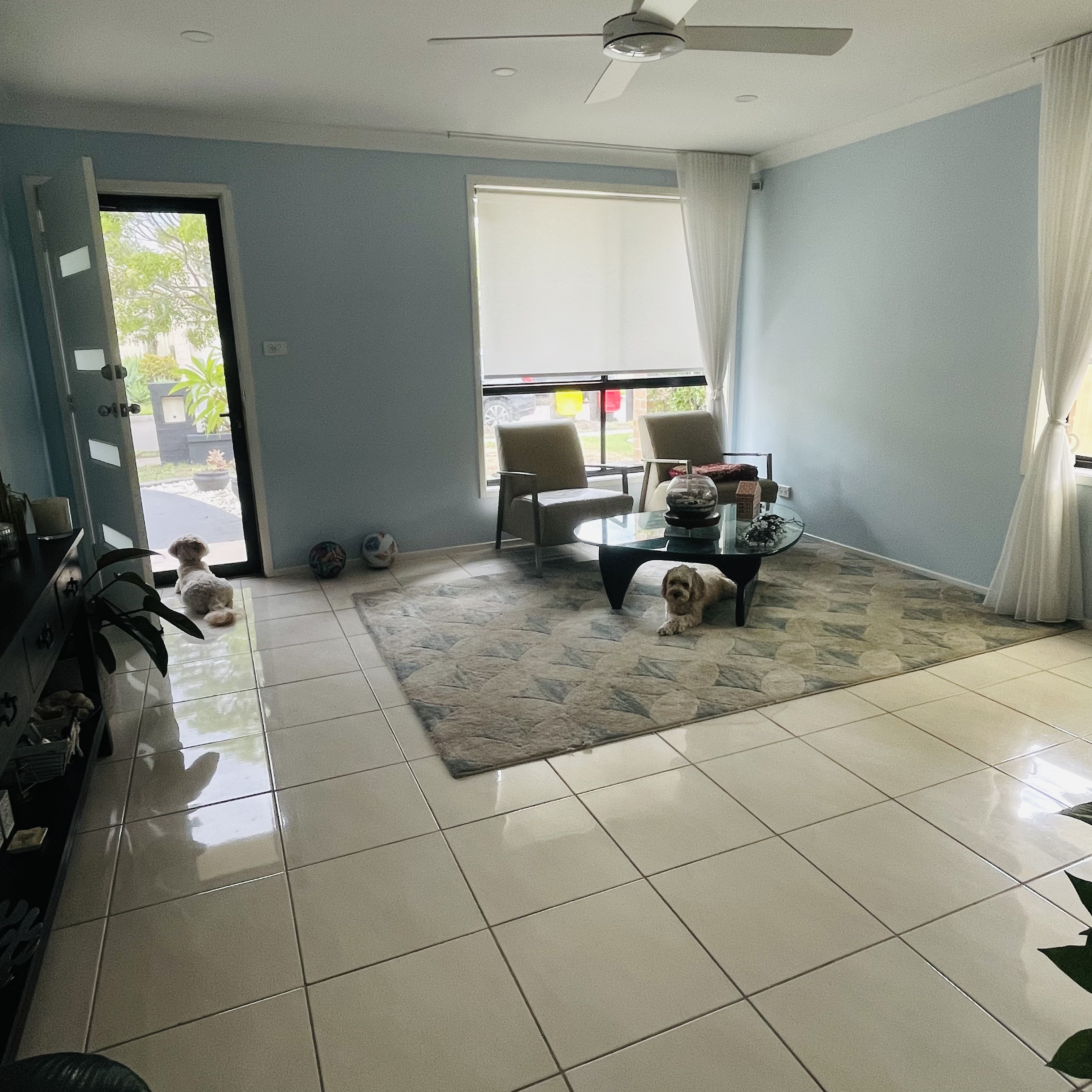 image-19