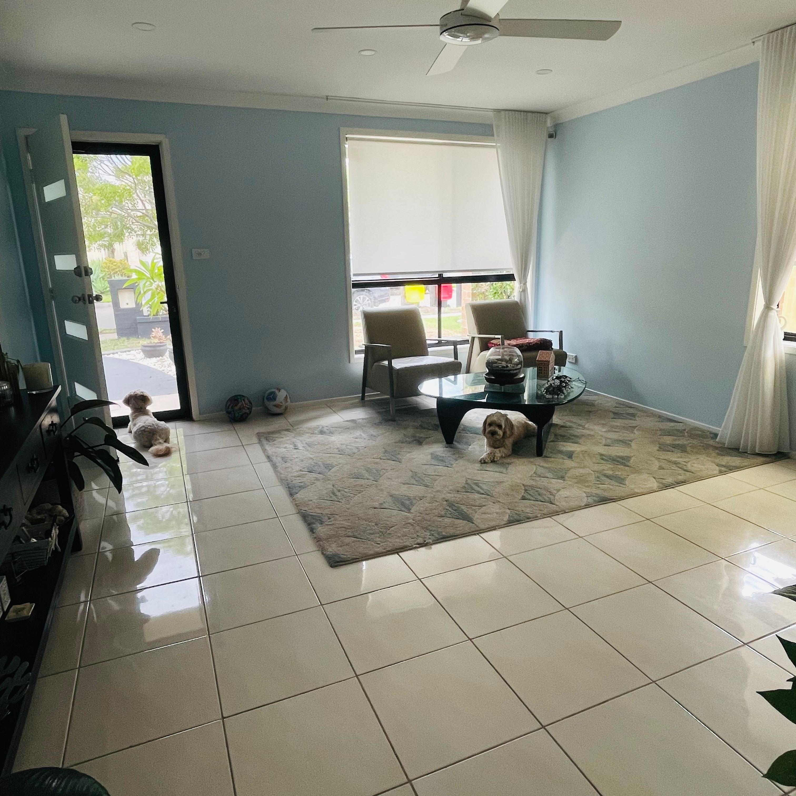 image-19